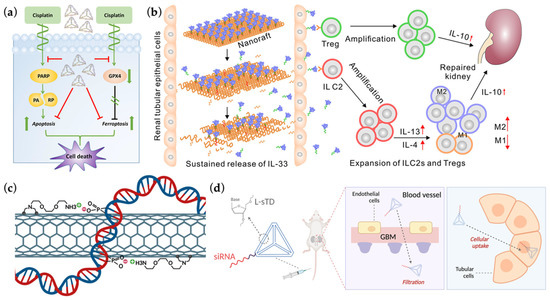 Ijms 23 03093 g005 550