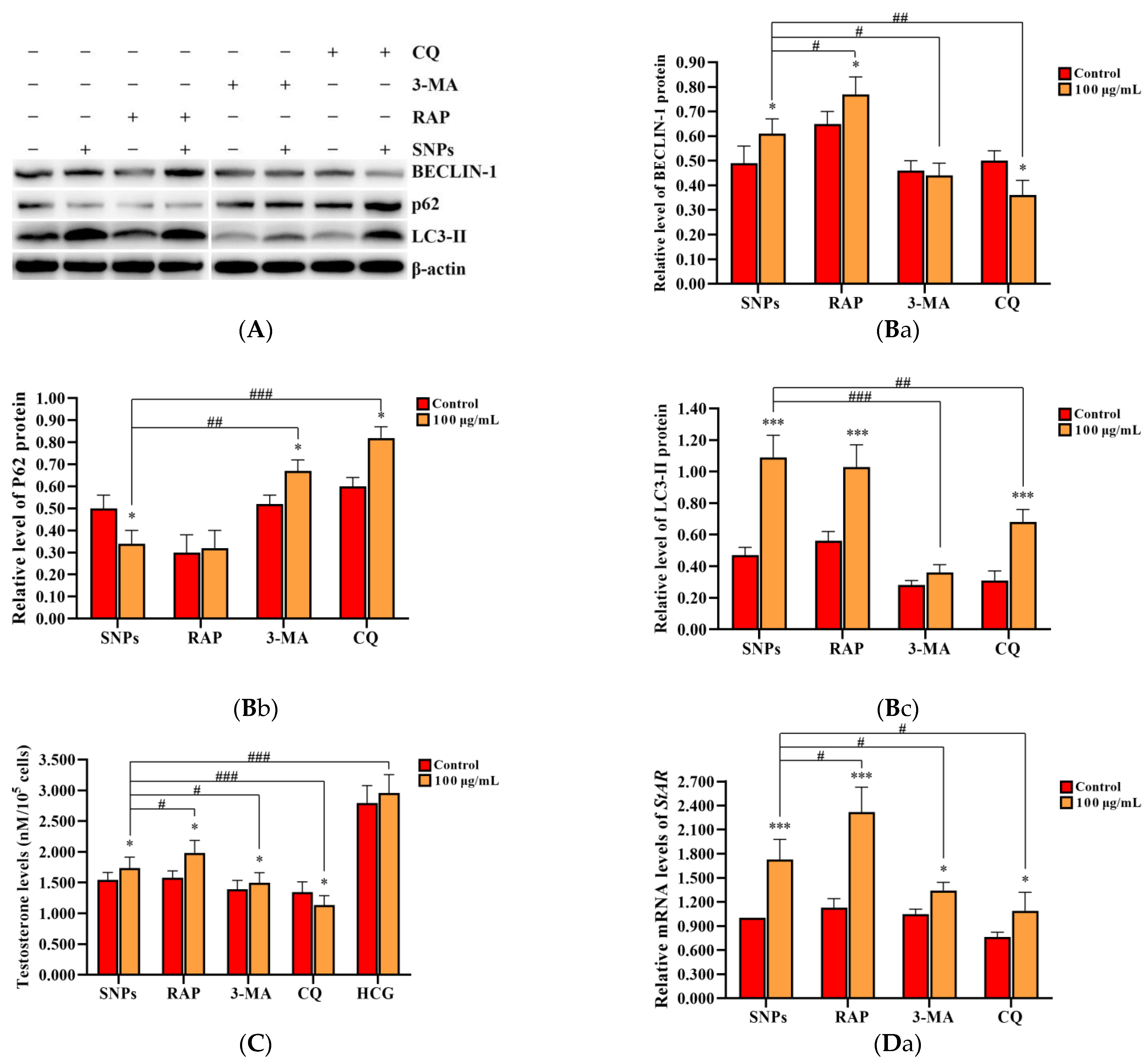 Ijms 23 03104 g006a Ijms 23 03104 g006a