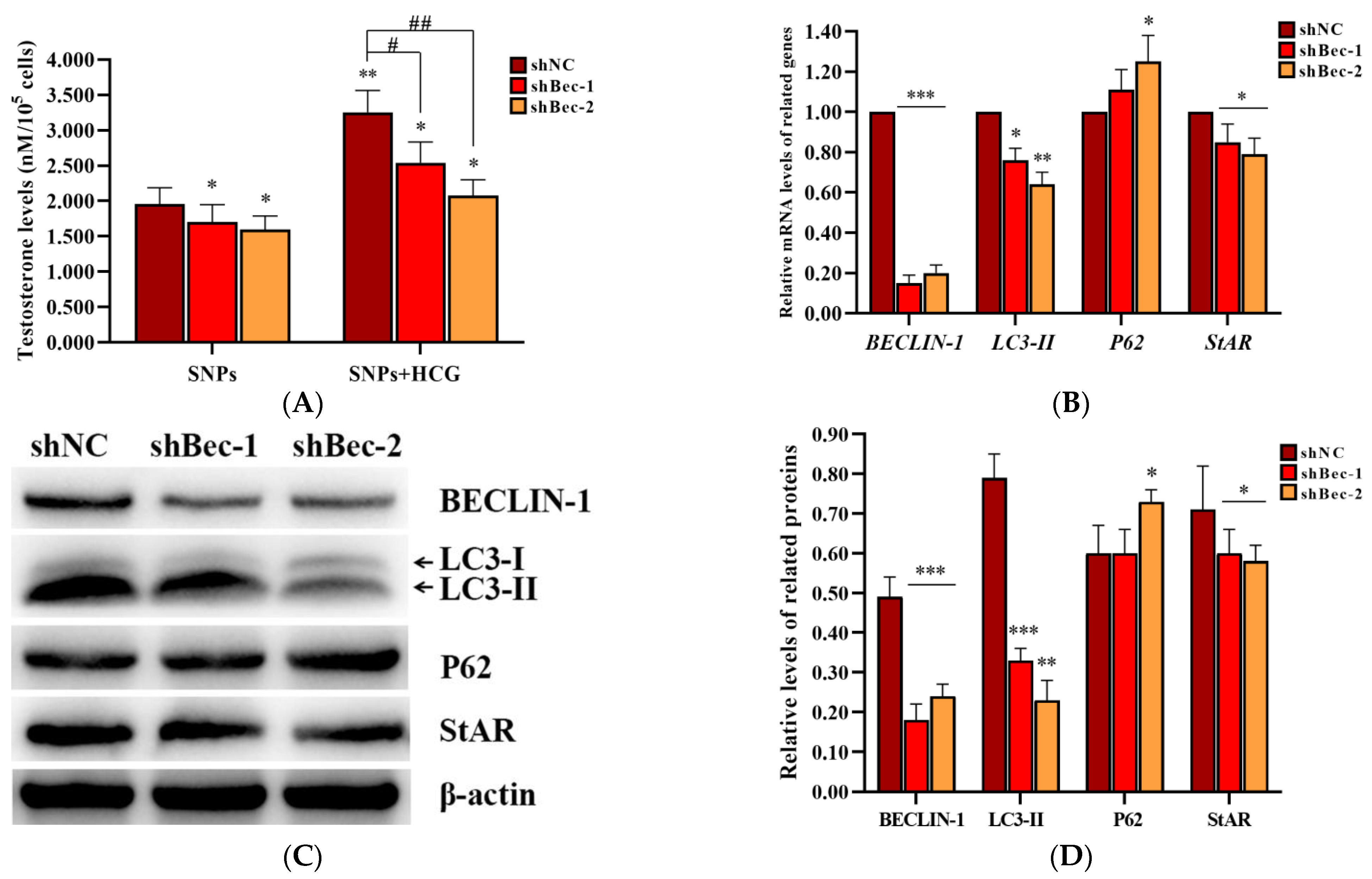 Ijms 23 03104 g007 Ijms 23 03104 g007