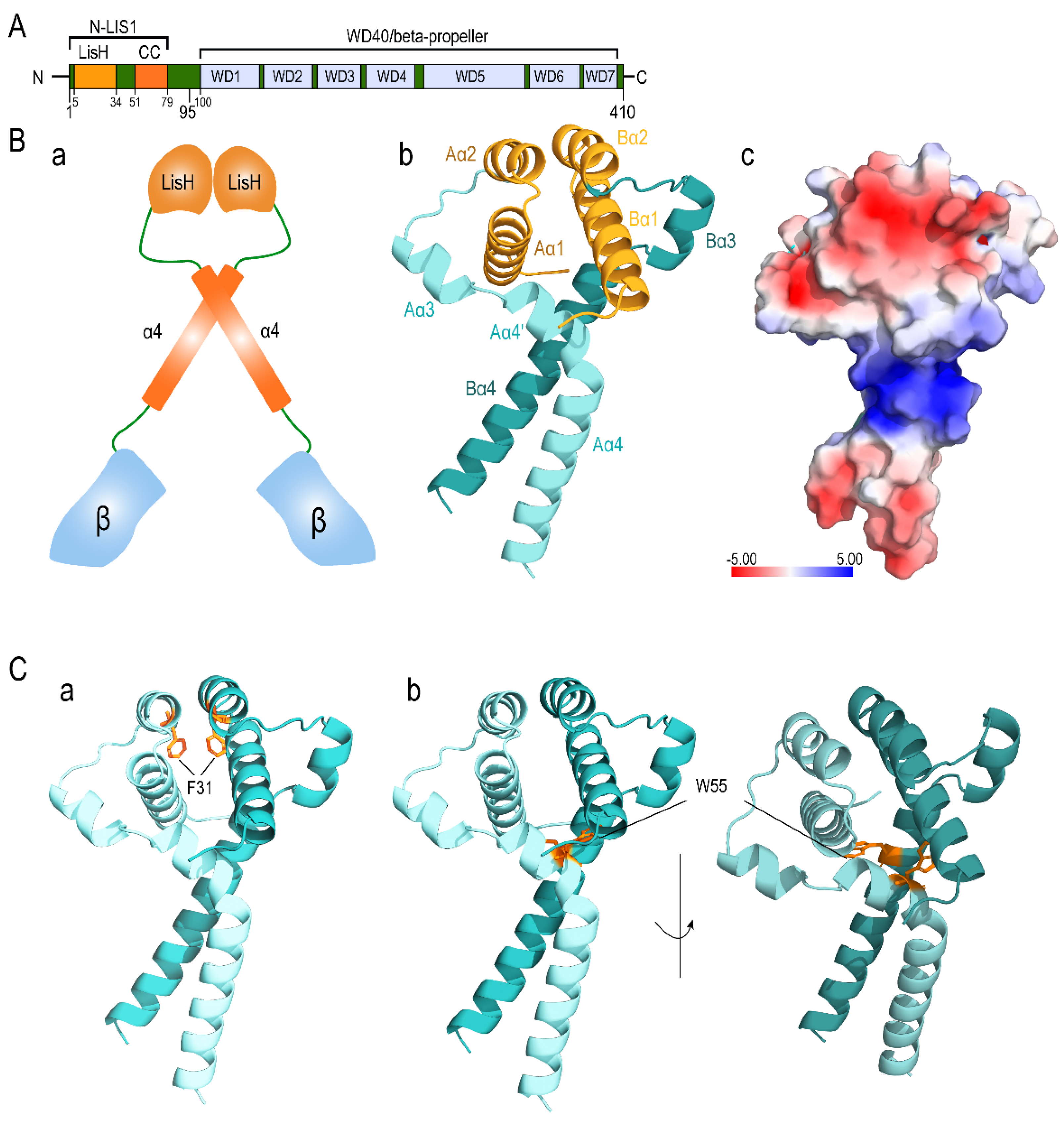 Ijms 23 03109 g002 Ijms 23 03109 g002