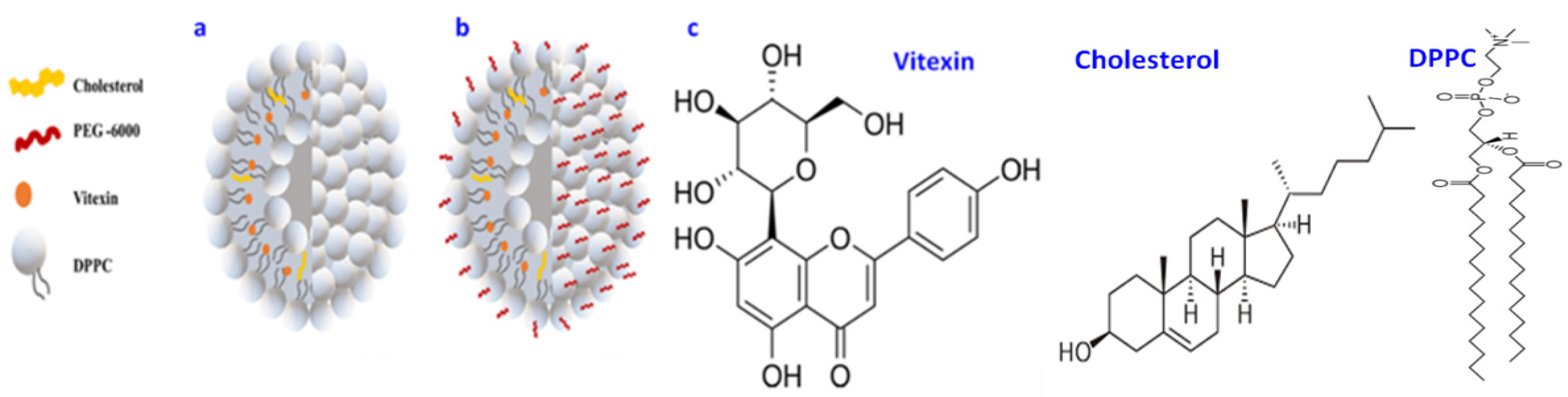 Ijms 23 03131 g001 Ijms 23 03131 g001