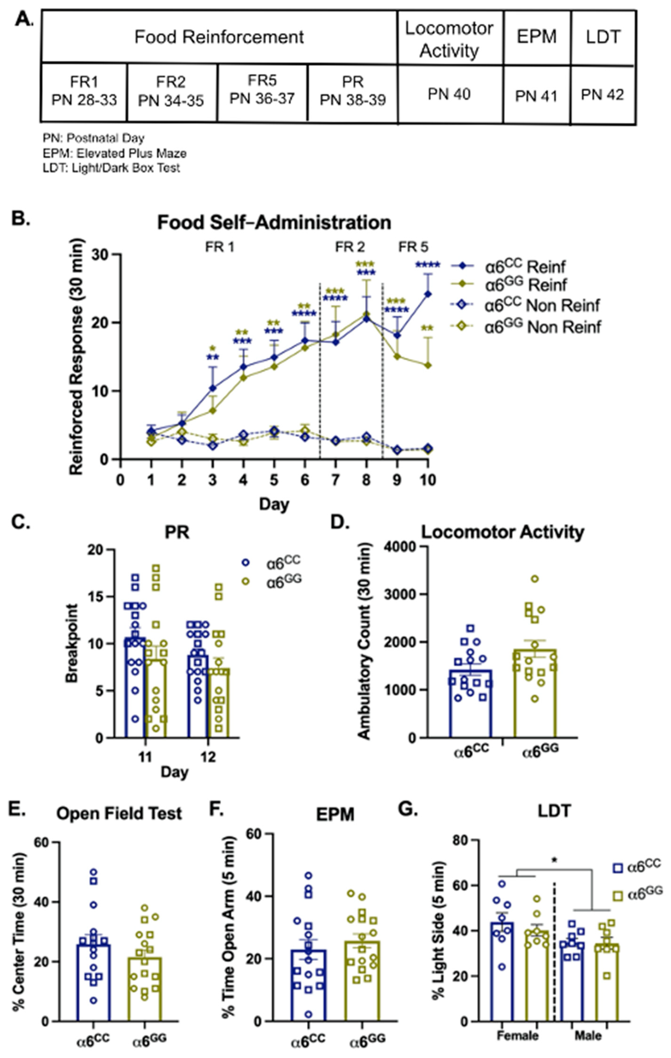 Ijms 23 03145 g002 Ijms 23 03145 g002