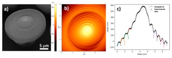 Ijms 23 03247 g006 550