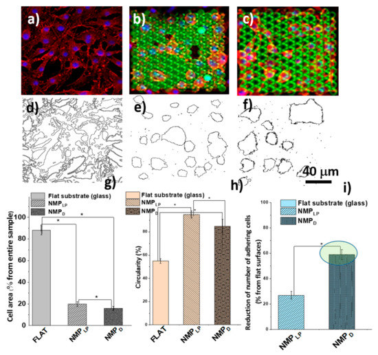 Ijms 23 03247 g007 550