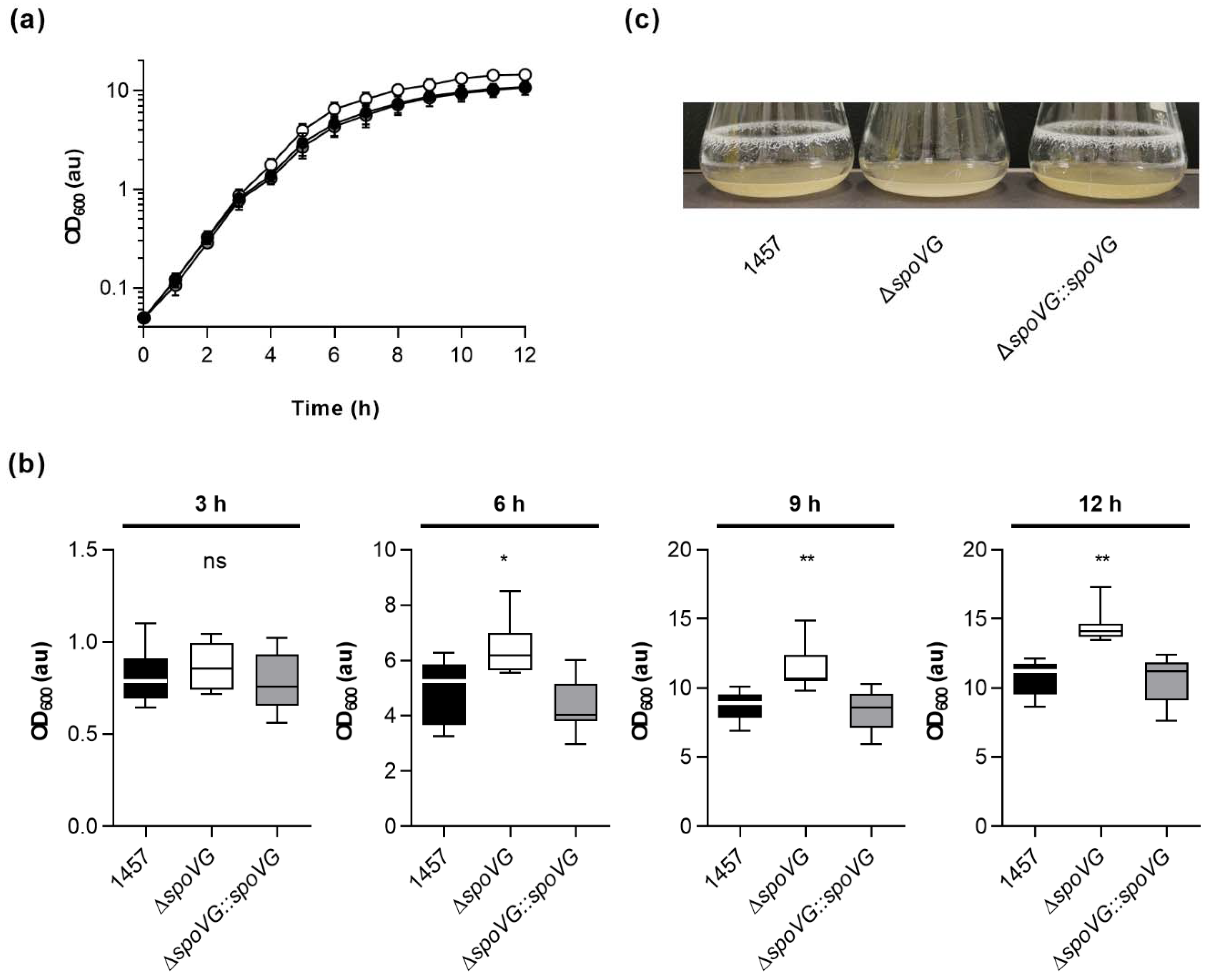 Ijms 23 03255 g003 Ijms 23 03255 g003