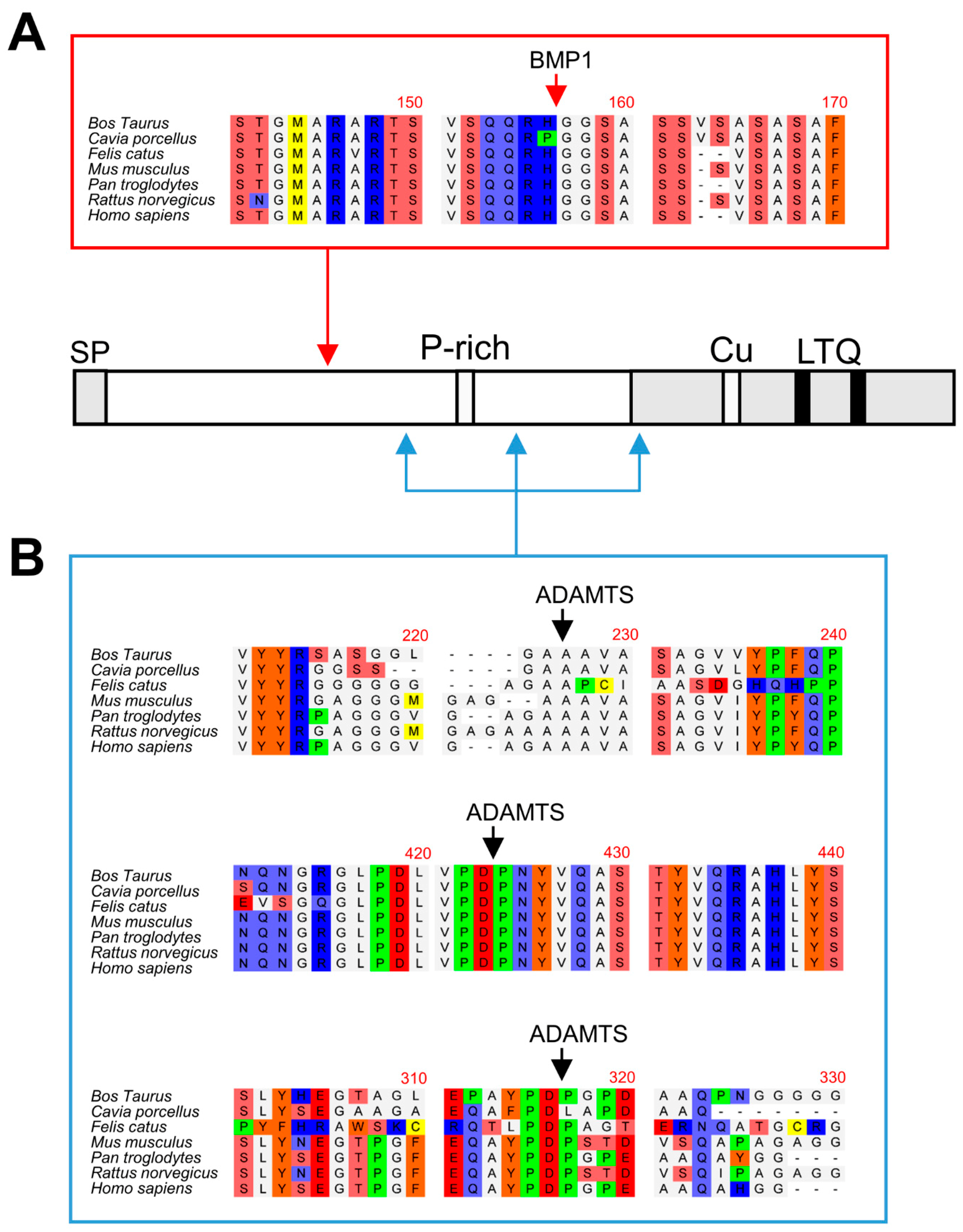 Ijms 23 03285 g006 Ijms 23 03285 g006