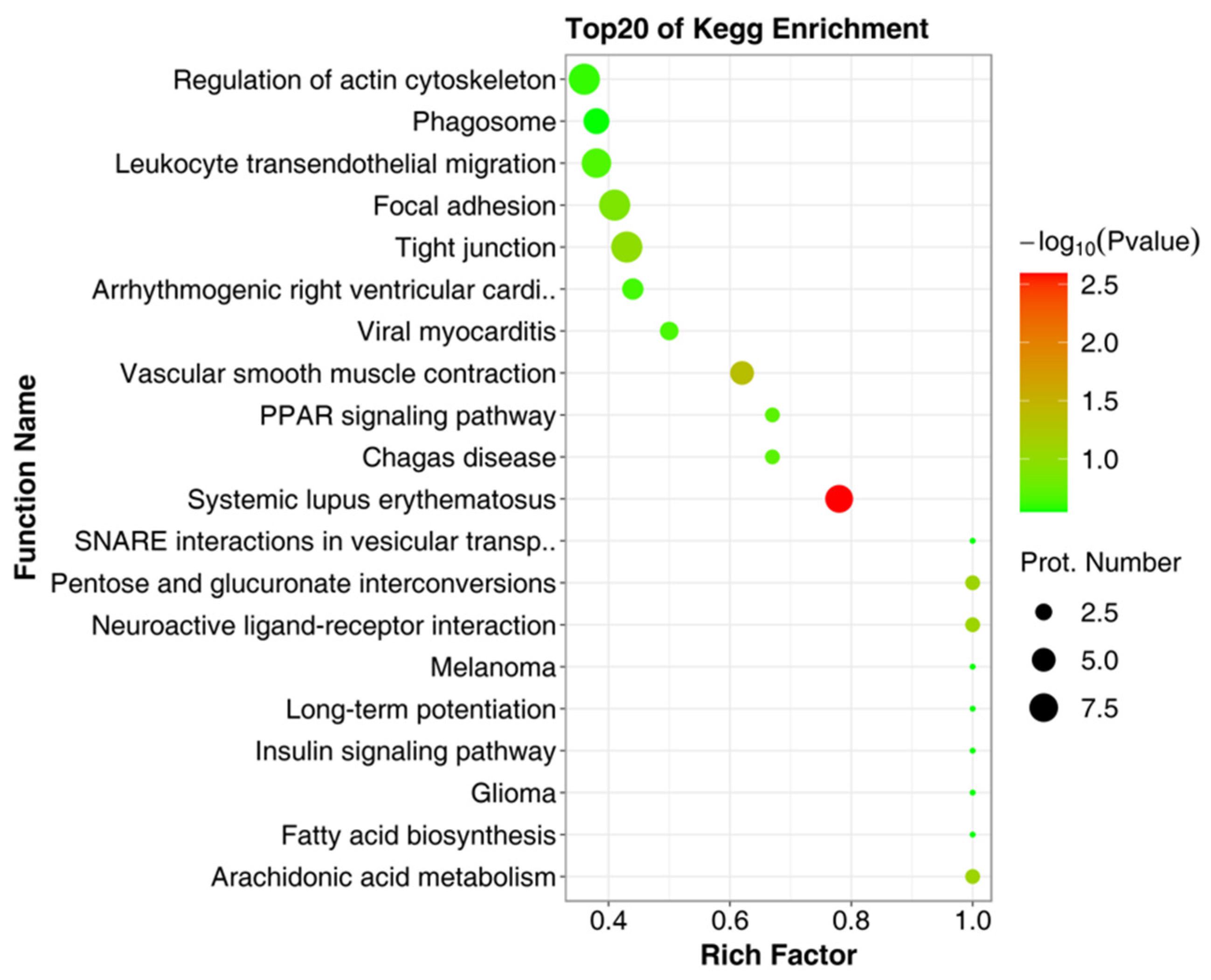 Ijms 23 03306 g004 Ijms 23 03306 g004