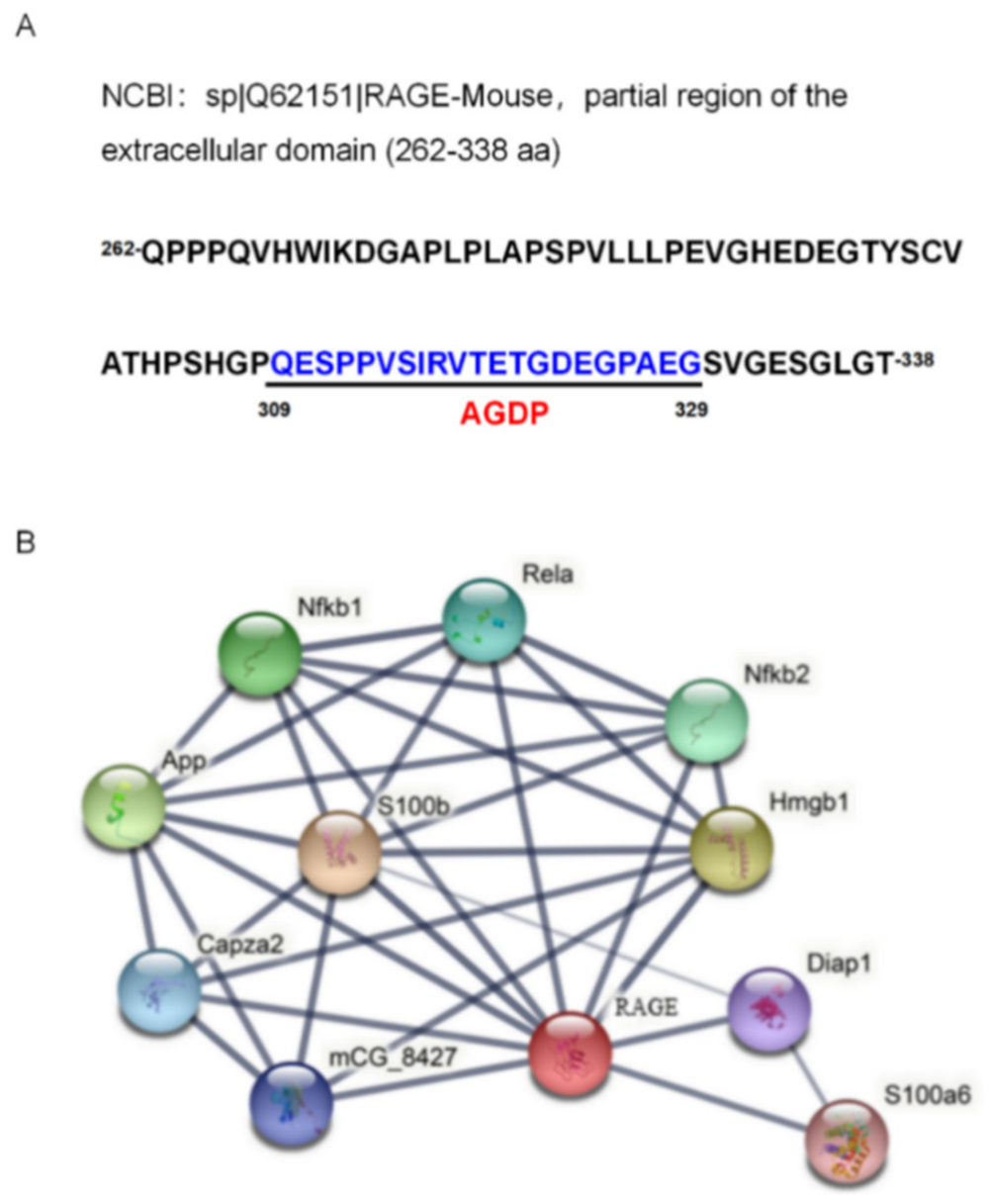 Ijms 23 03306 g005 Ijms 23 03306 g005