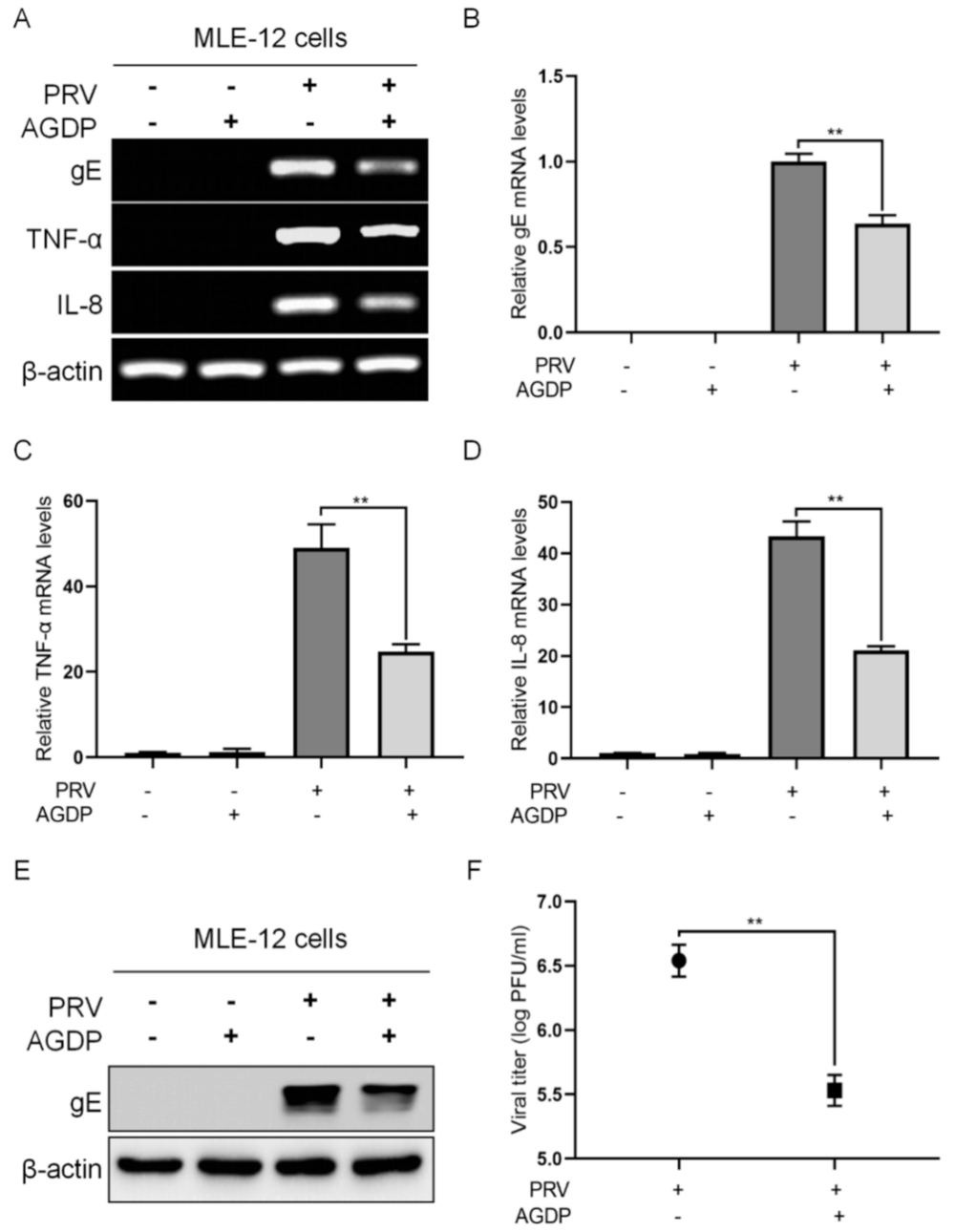 Ijms 23 03306 g007 Ijms 23 03306 g007