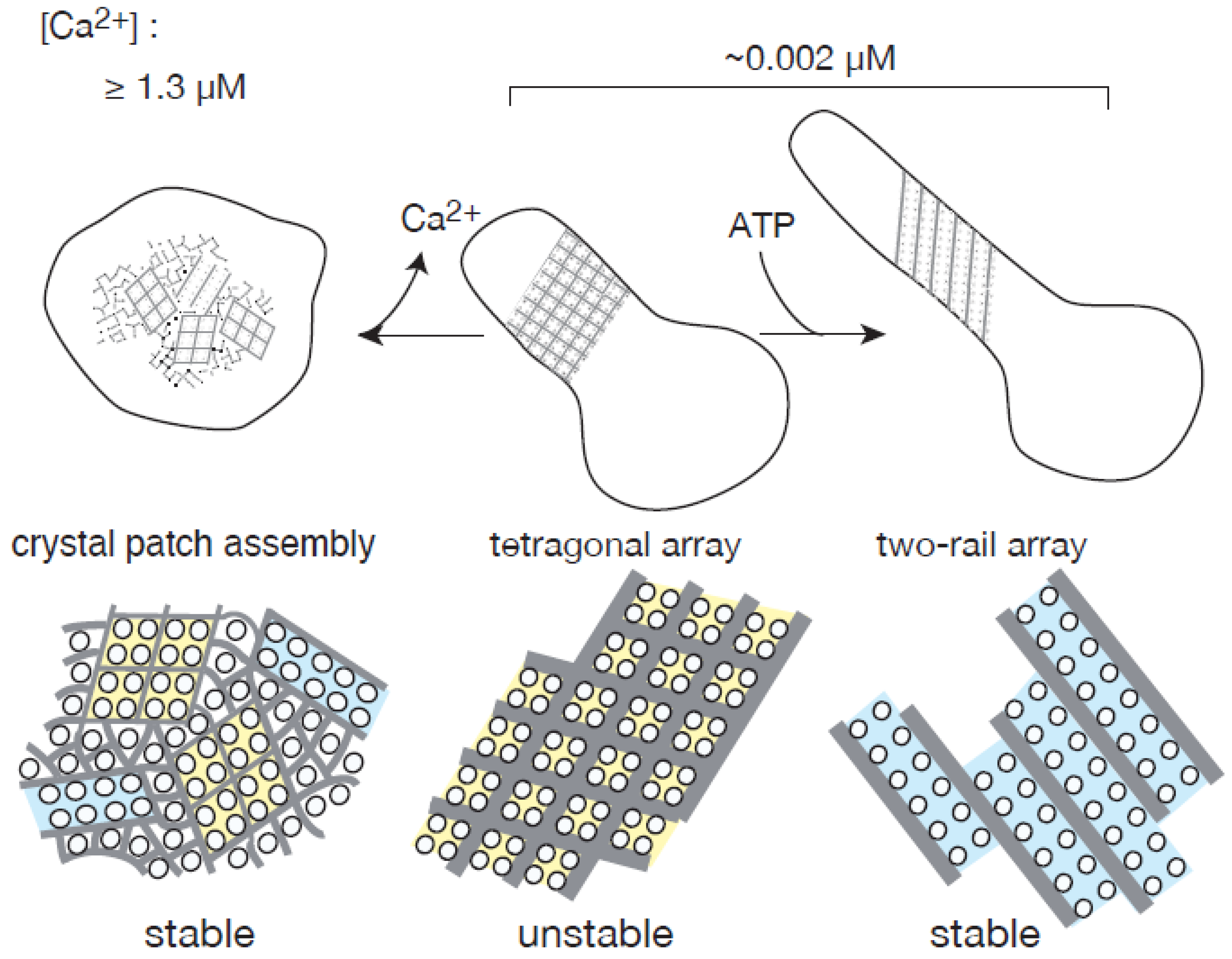 Ijms 23 03311 g011 Ijms 23 03311 g011