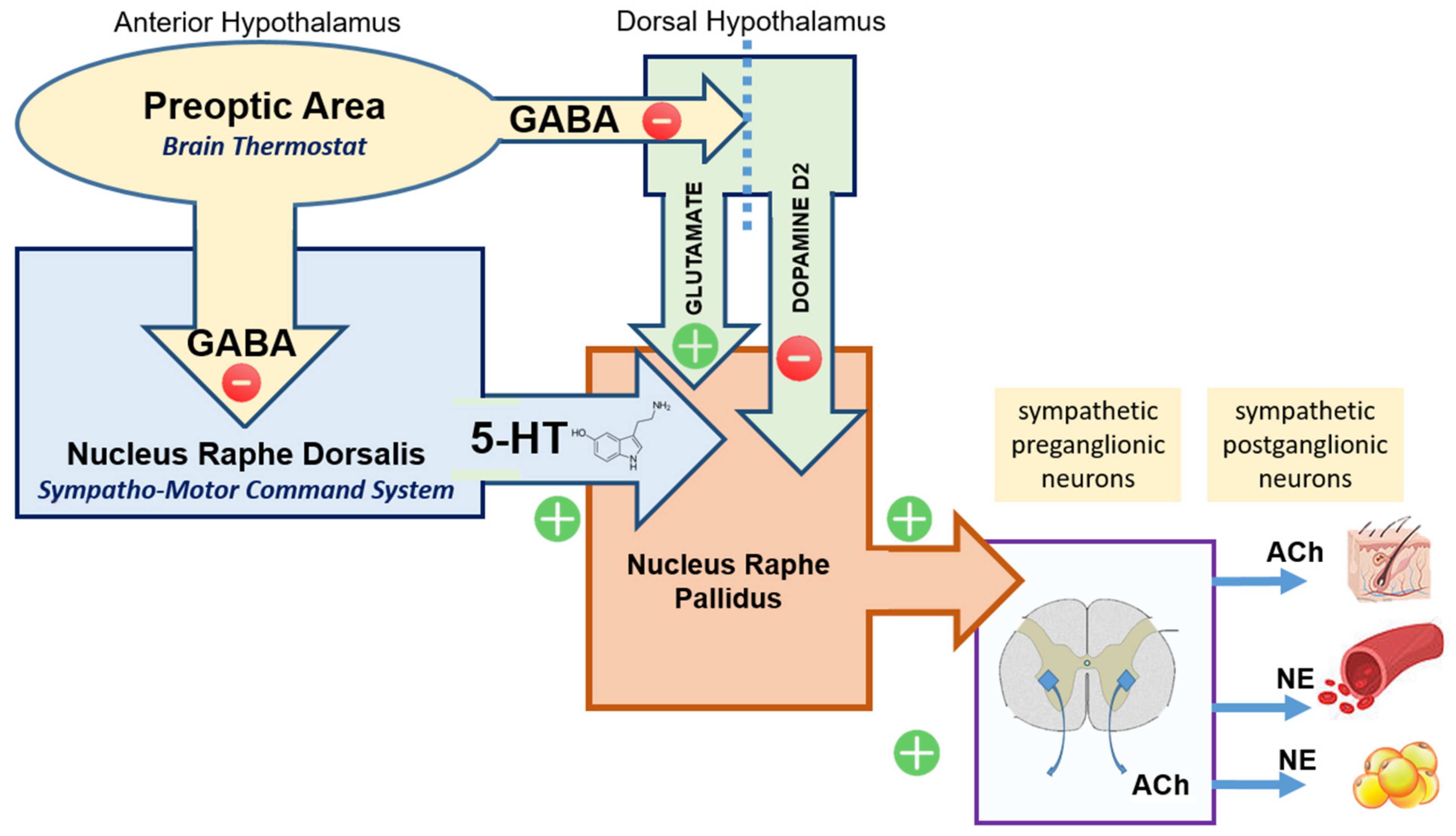 Ijms 23 03365 g002 Ijms 23 03365 g002