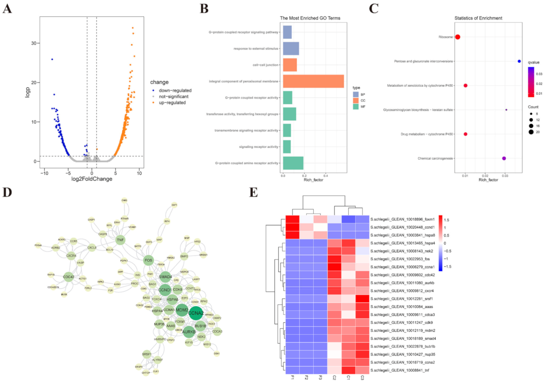 Ijms 23 03392 g005 Ijms 23 03392 g005