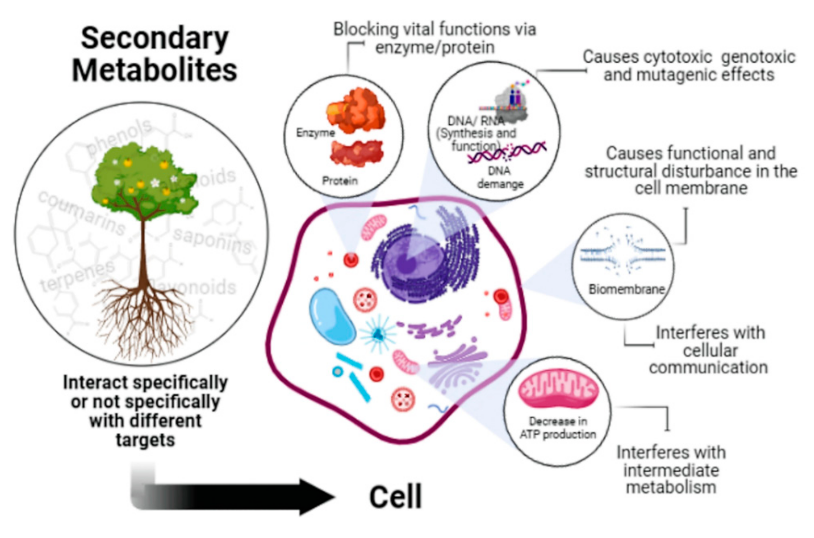 Ijms 23 03413 g006 Ijms 23 03413 g006
