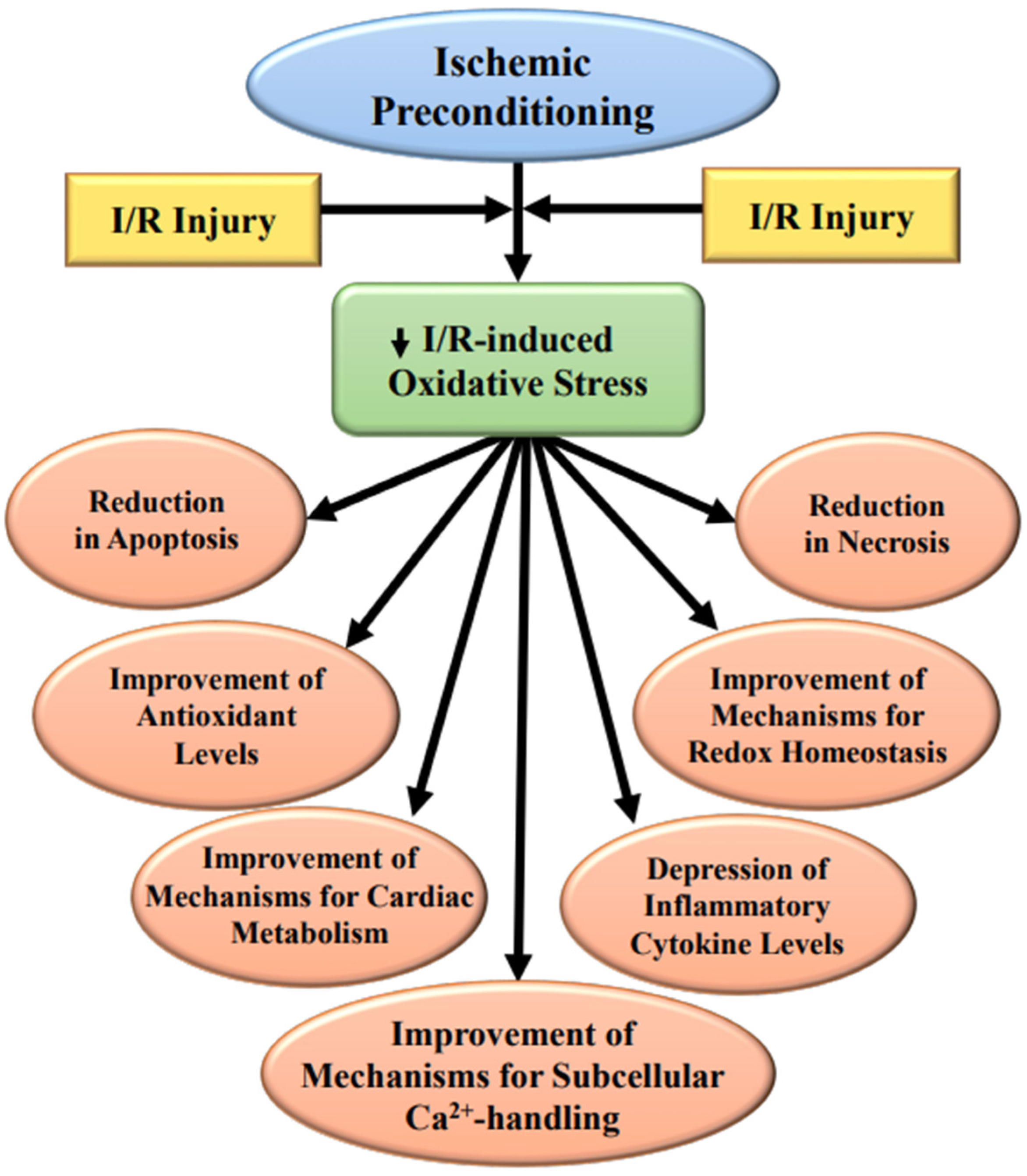 Ijms 23 03425 g001 Ijms 23 03425 g001