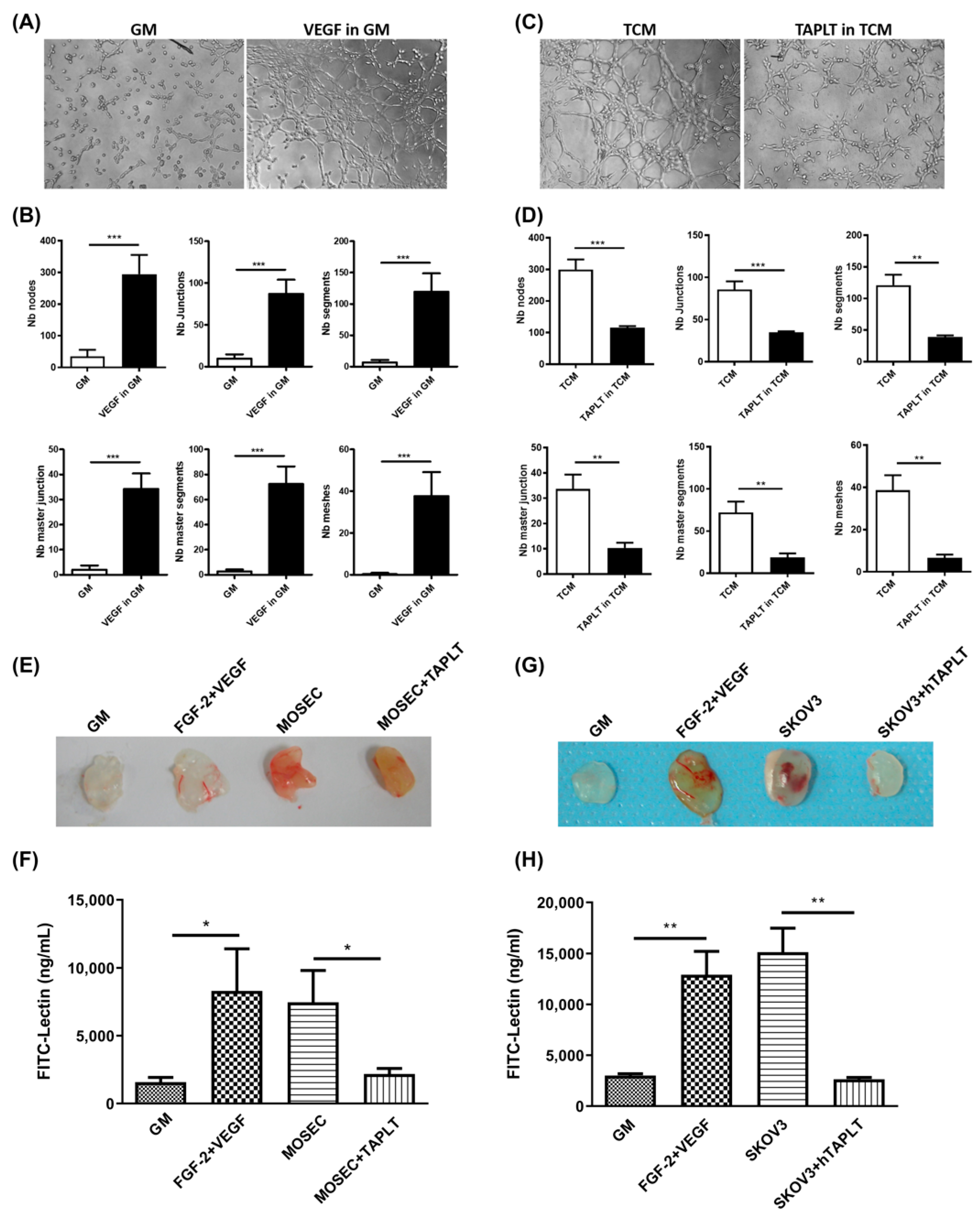 Ijms 23 03433 g003 Ijms 23 03433 g003