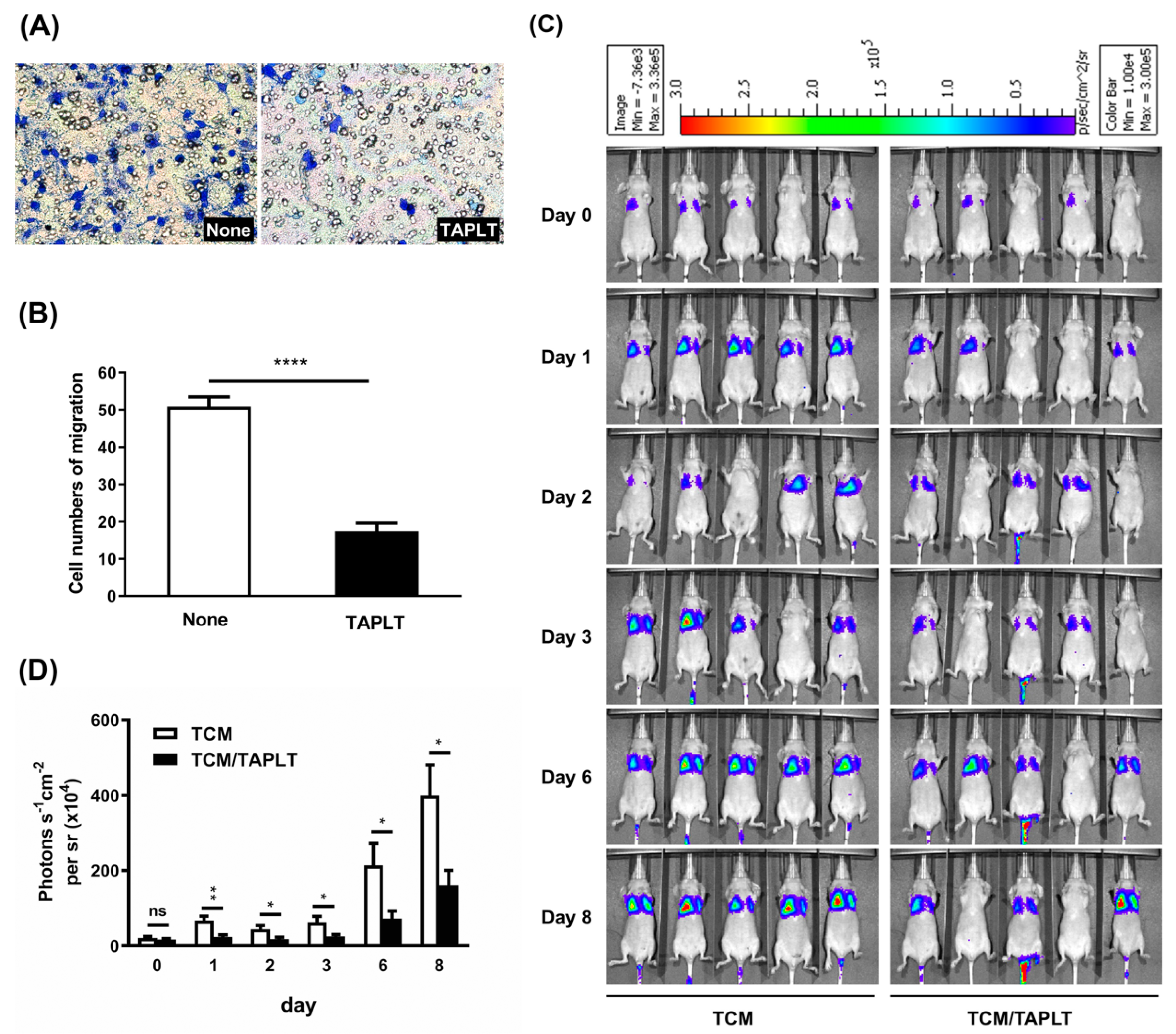 Ijms 23 03433 g004 Ijms 23 03433 g004