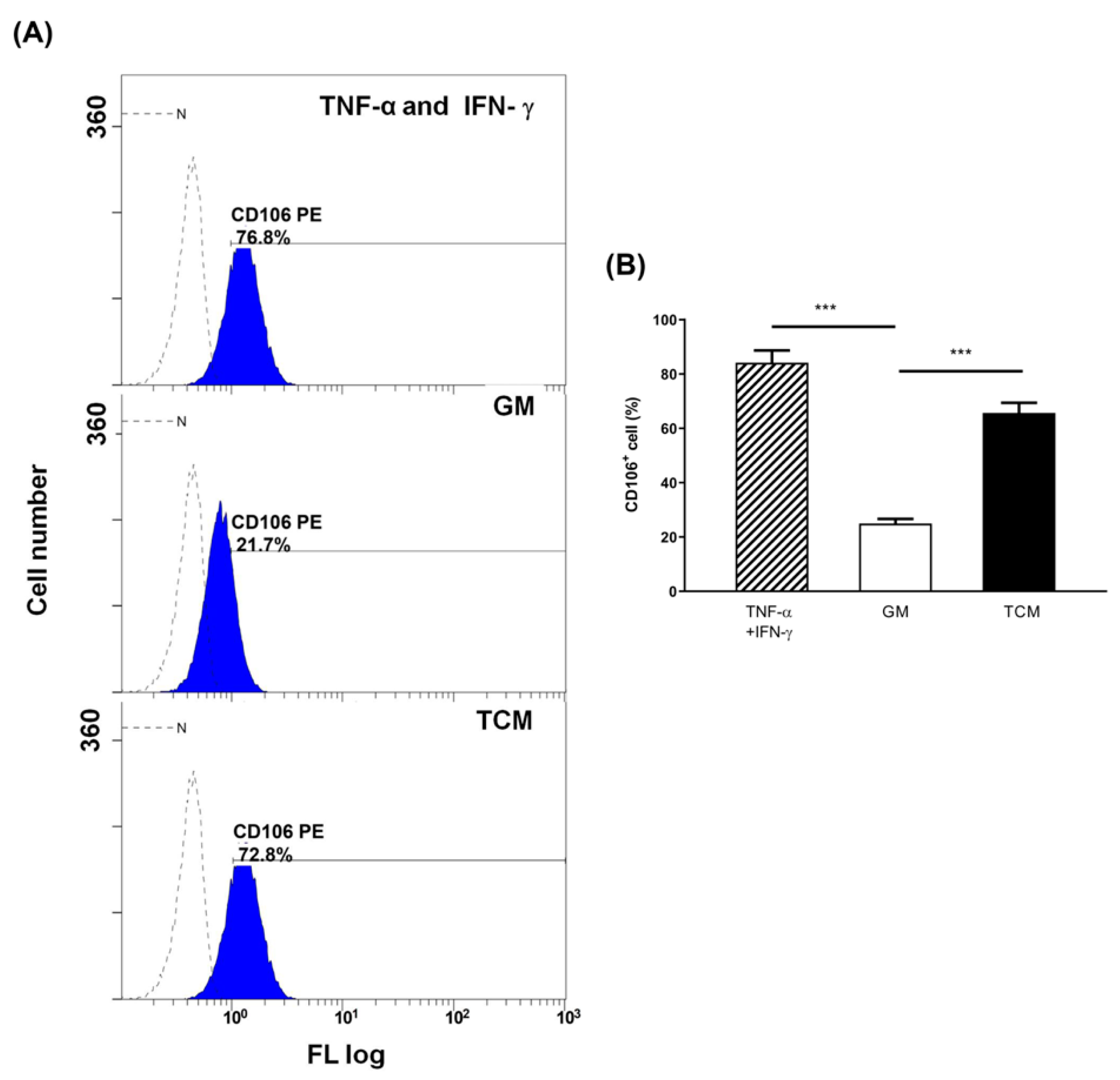 Ijms 23 03433 g006 Ijms 23 03433 g006