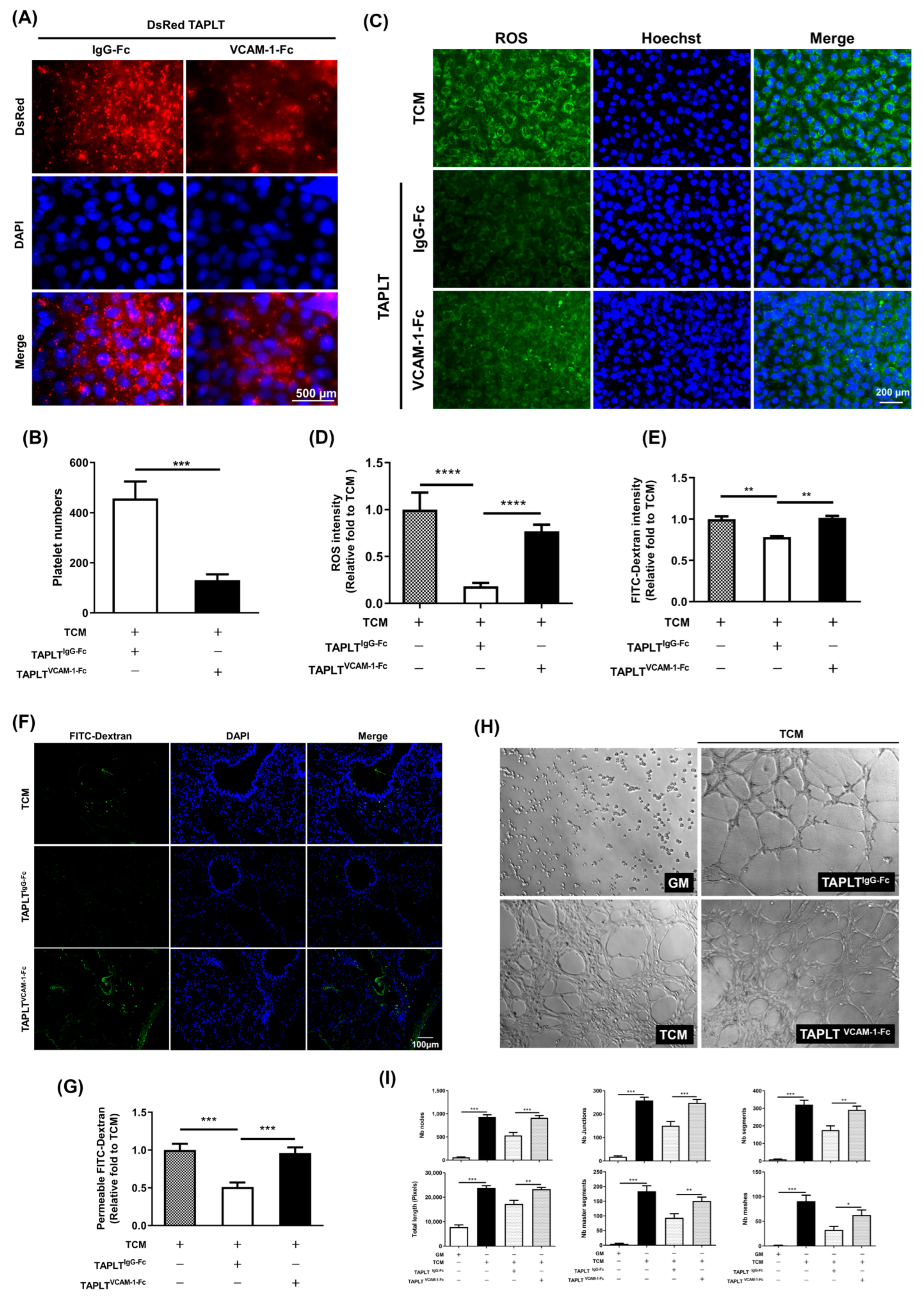Ijms 23 03433 g007 Ijms 23 03433 g007