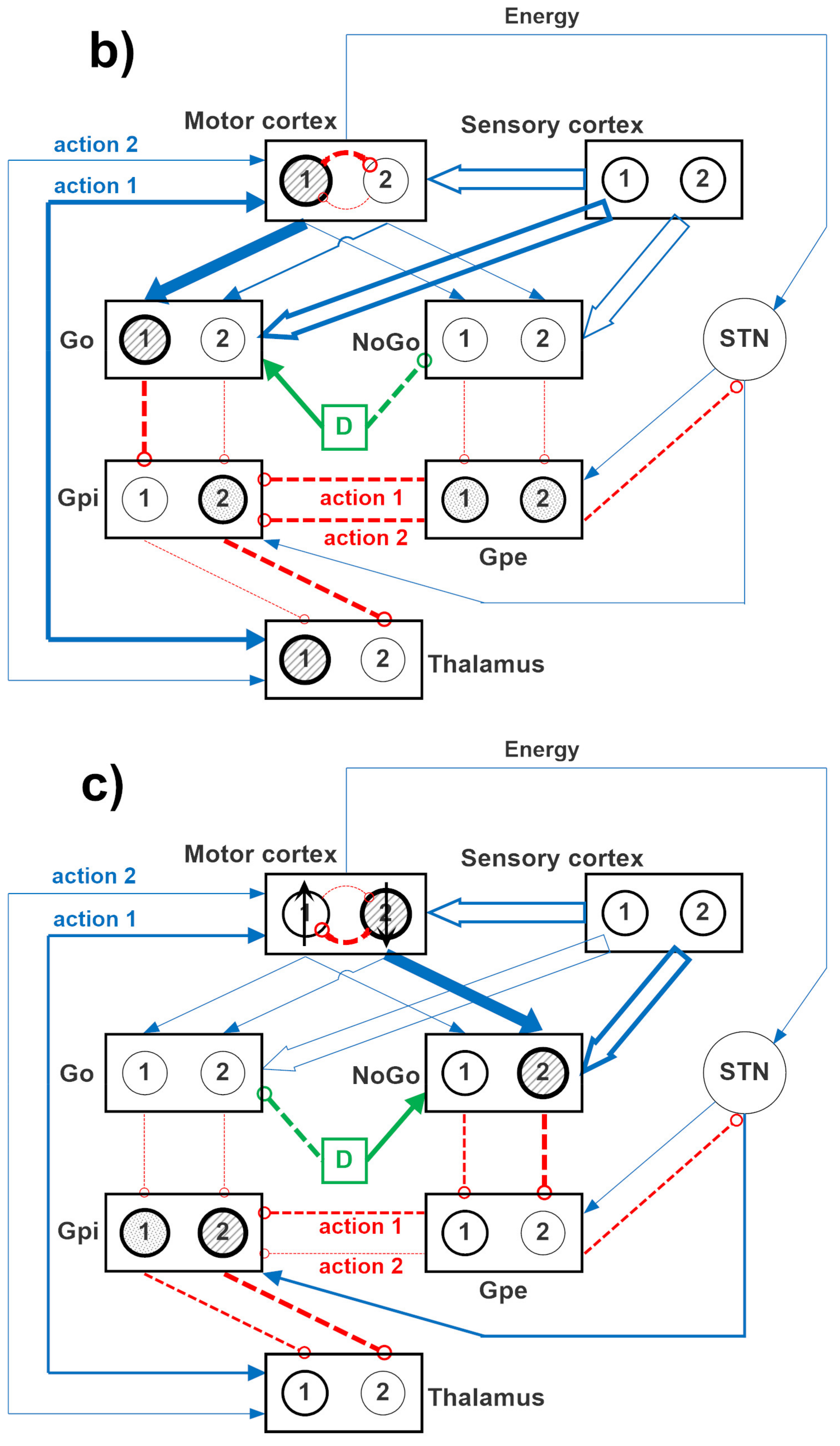 Ijms 23 03452 g012b Ijms 23 03452 g012b