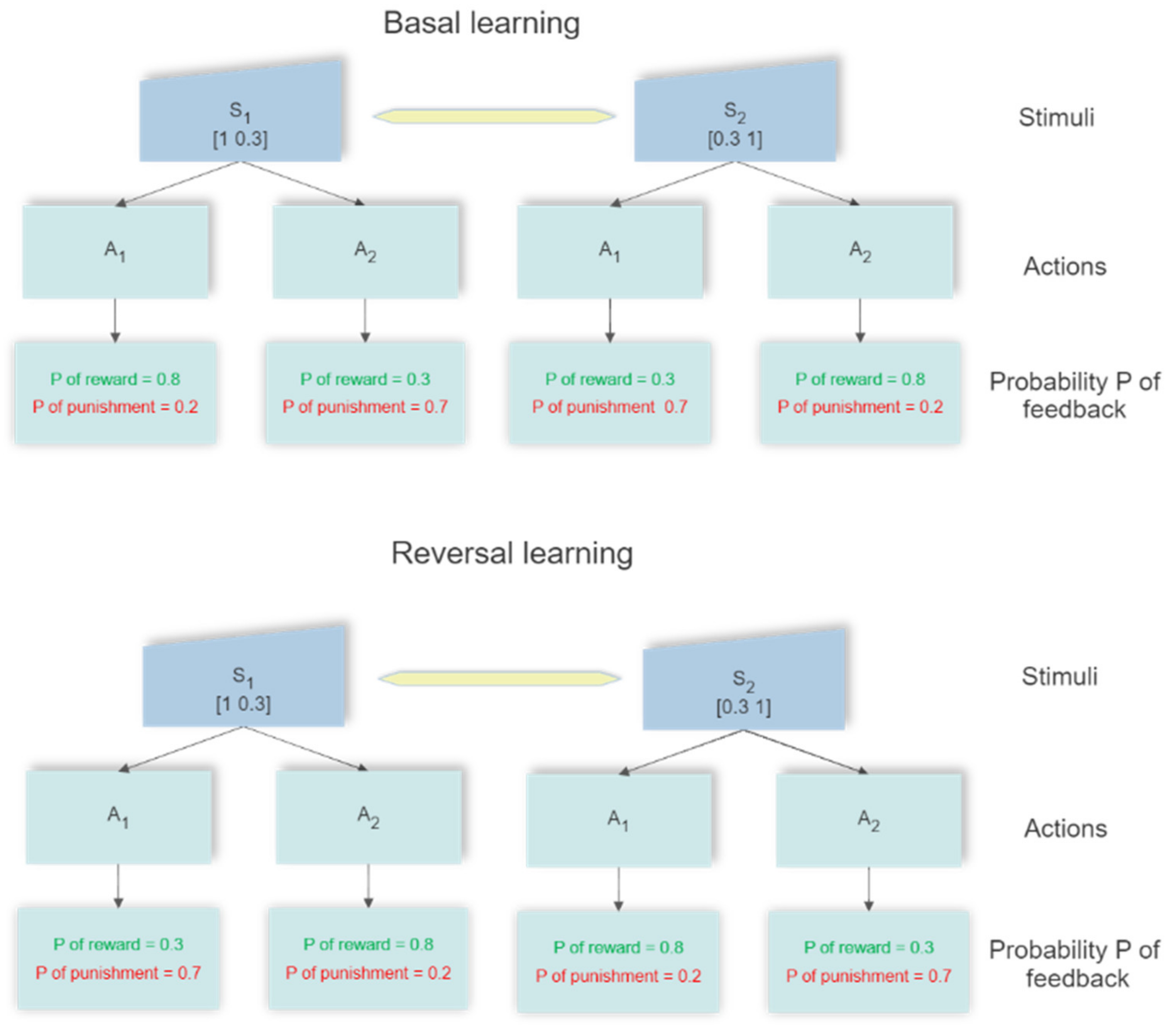 Ijms 23 03452 g013 Ijms 23 03452 g013
