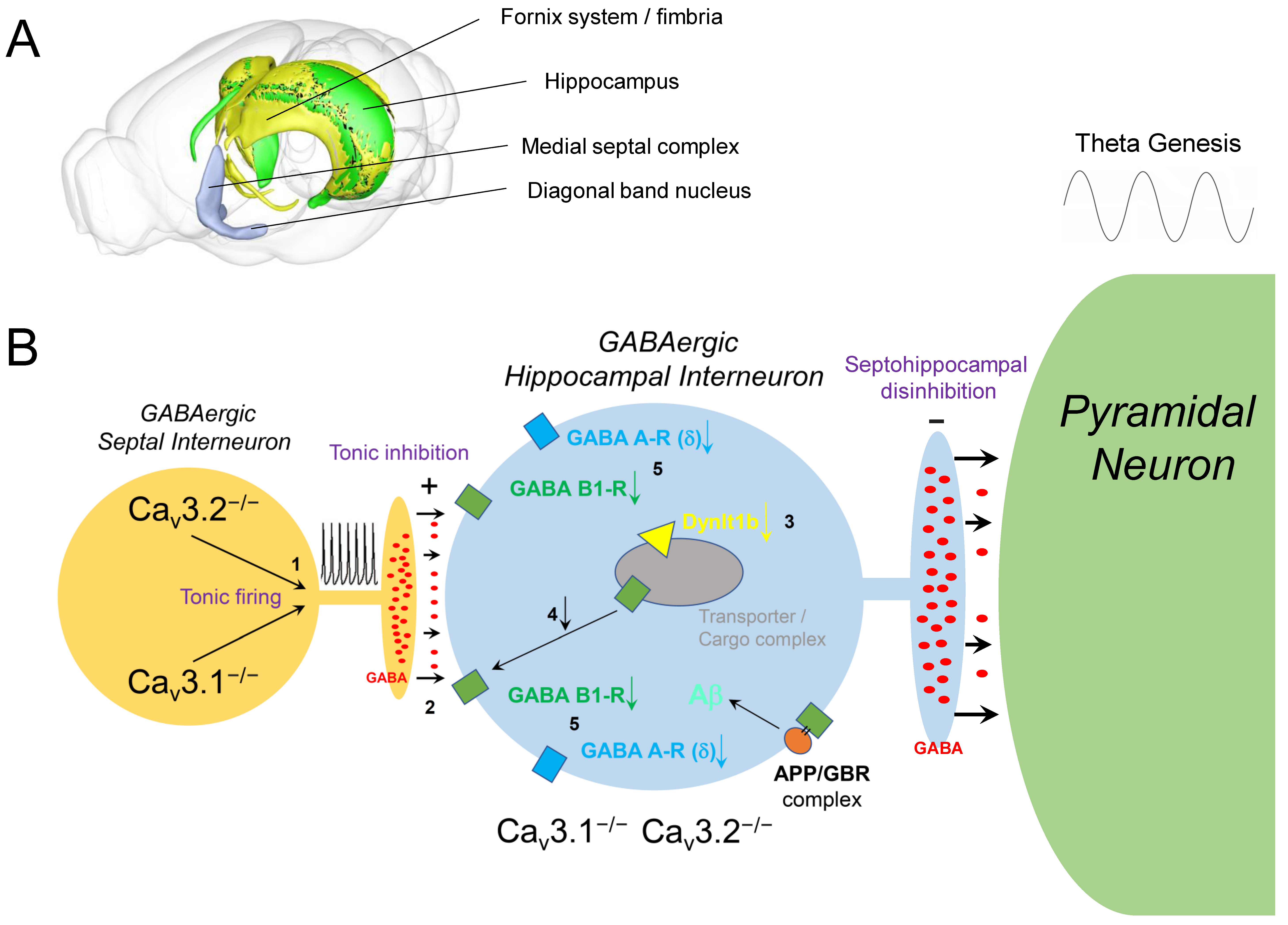Ijms 23 03457 g002 Ijms 23 03457 g002