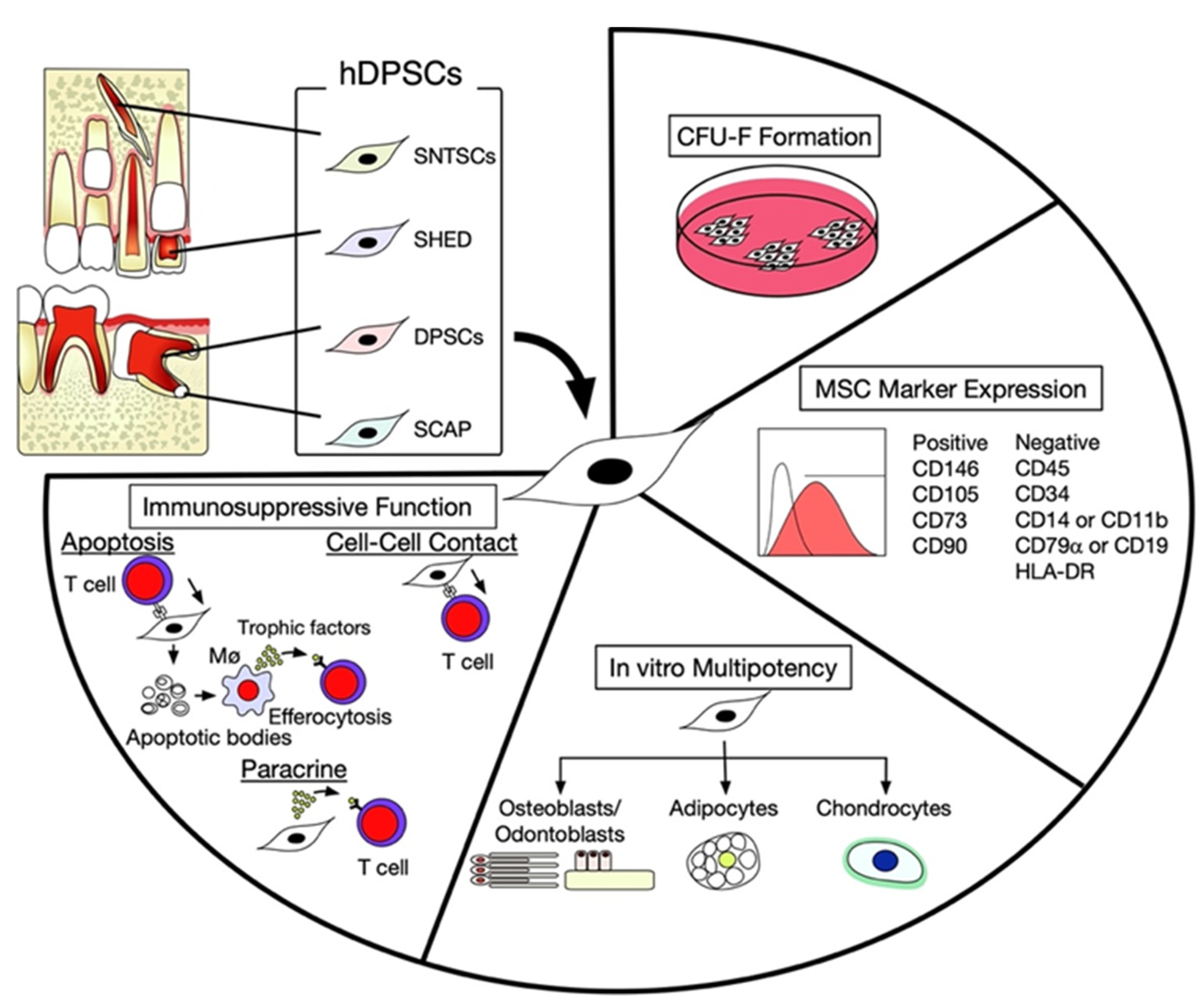Ijms 23 03479 g001 Ijms 23 03479 g001