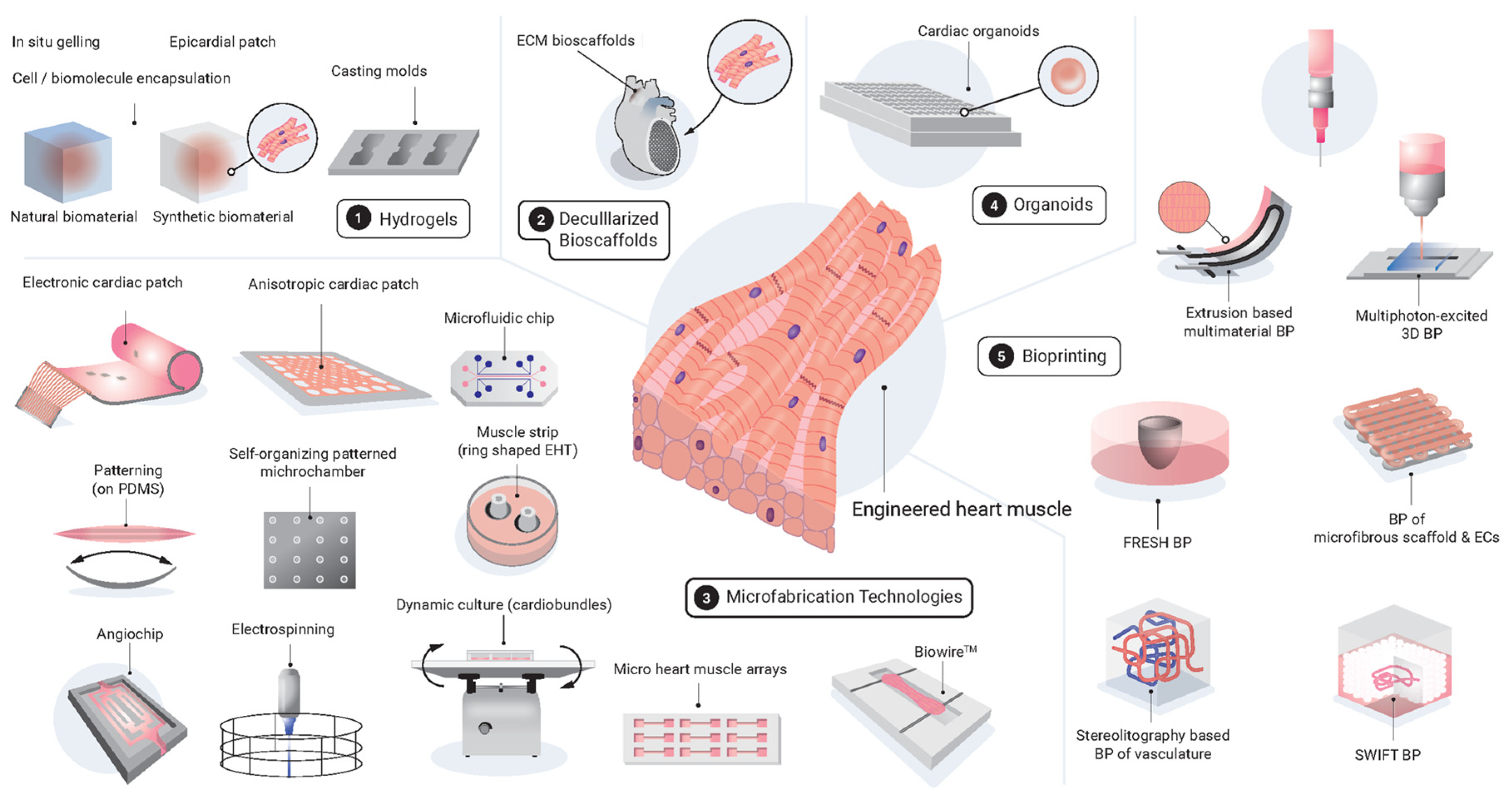 Ijms 23 03482 g001 Ijms 23 03482 g001