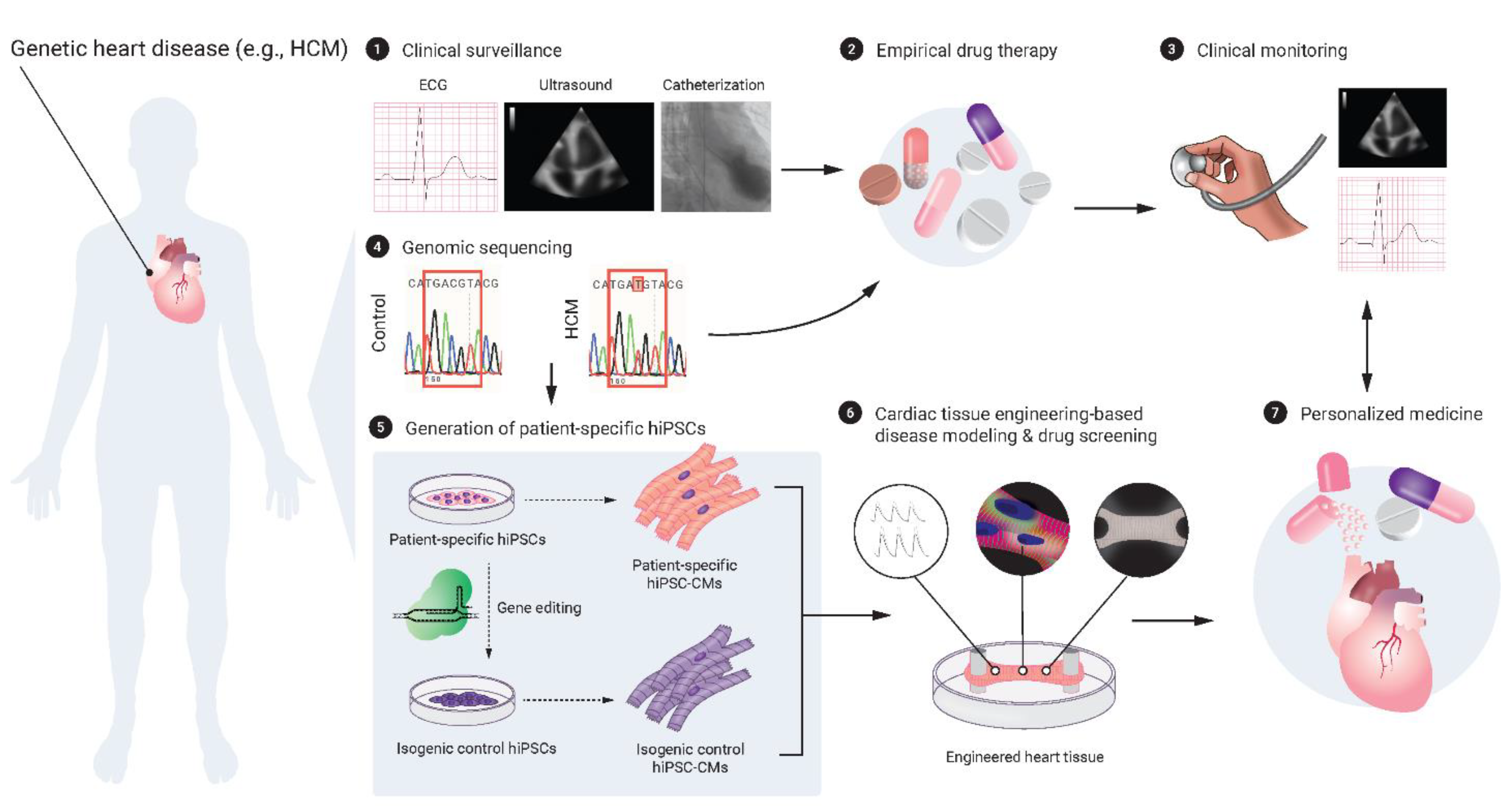 Ijms 23 03482 g002 Ijms 23 03482 g002