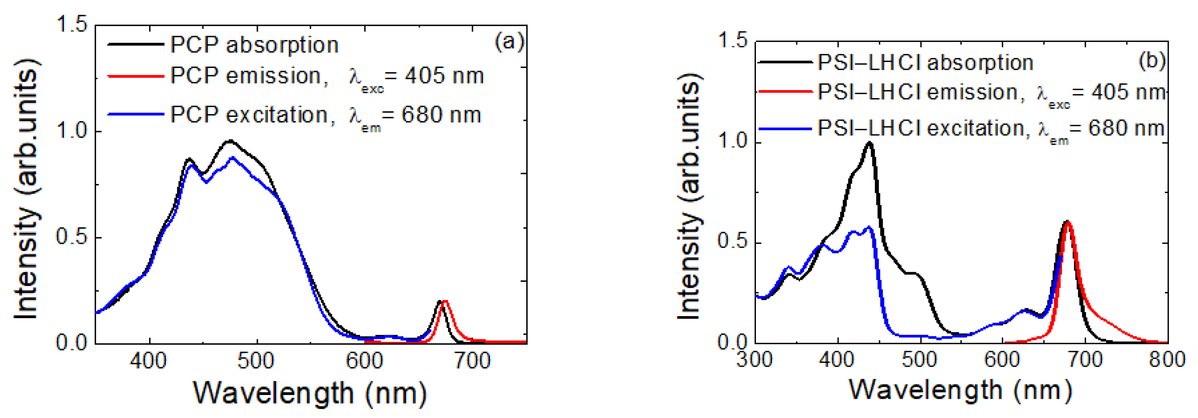 Ijms 23 03493 g001 Ijms 23 03493 g001
