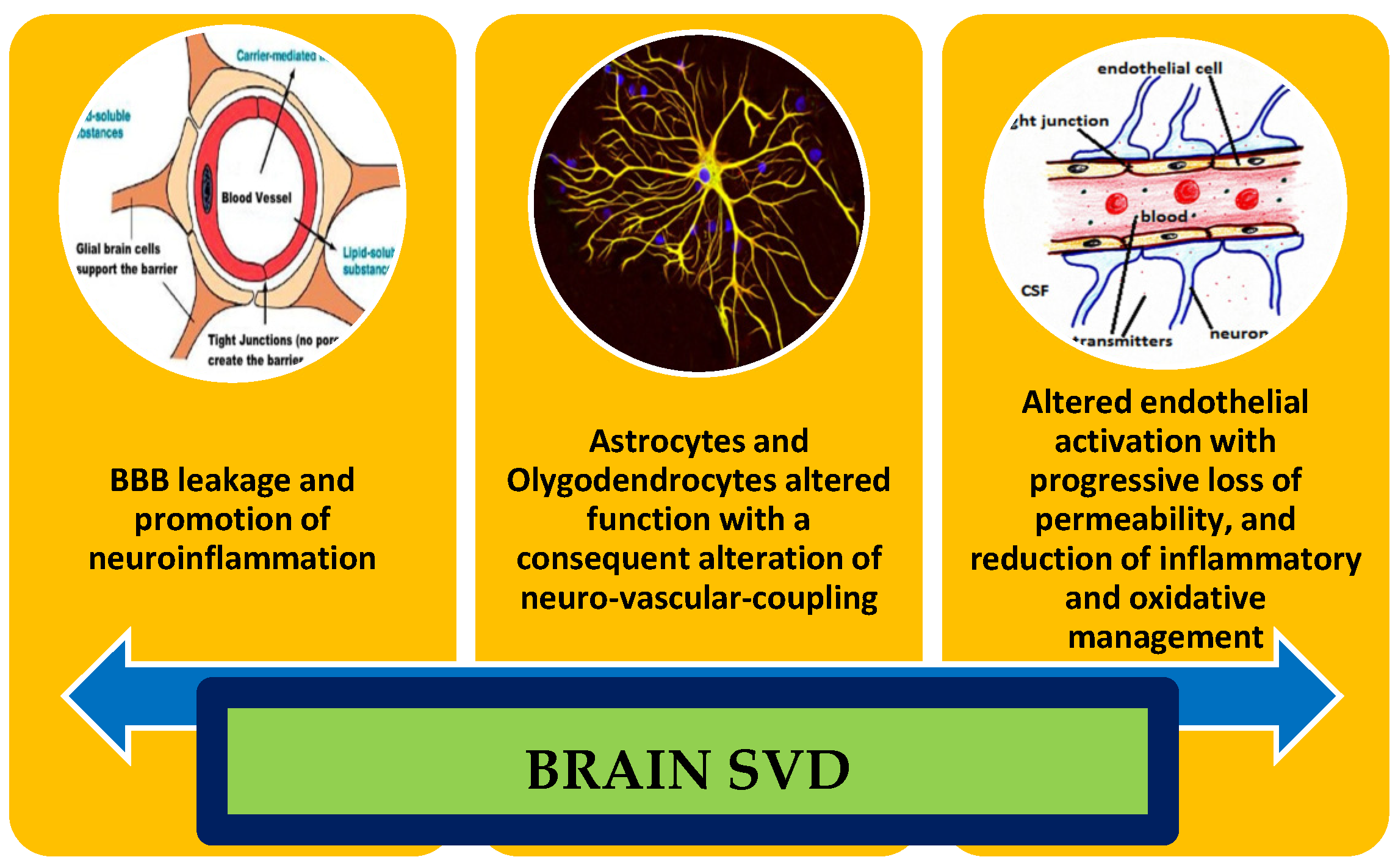 Ijms 23 03508 sch001