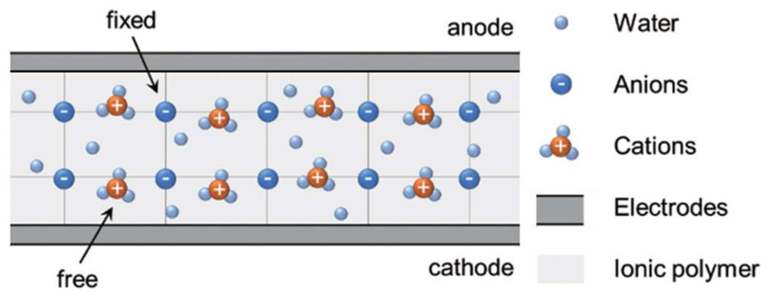 Ijms 23 03522 g001 Ijms 23 03522 g001