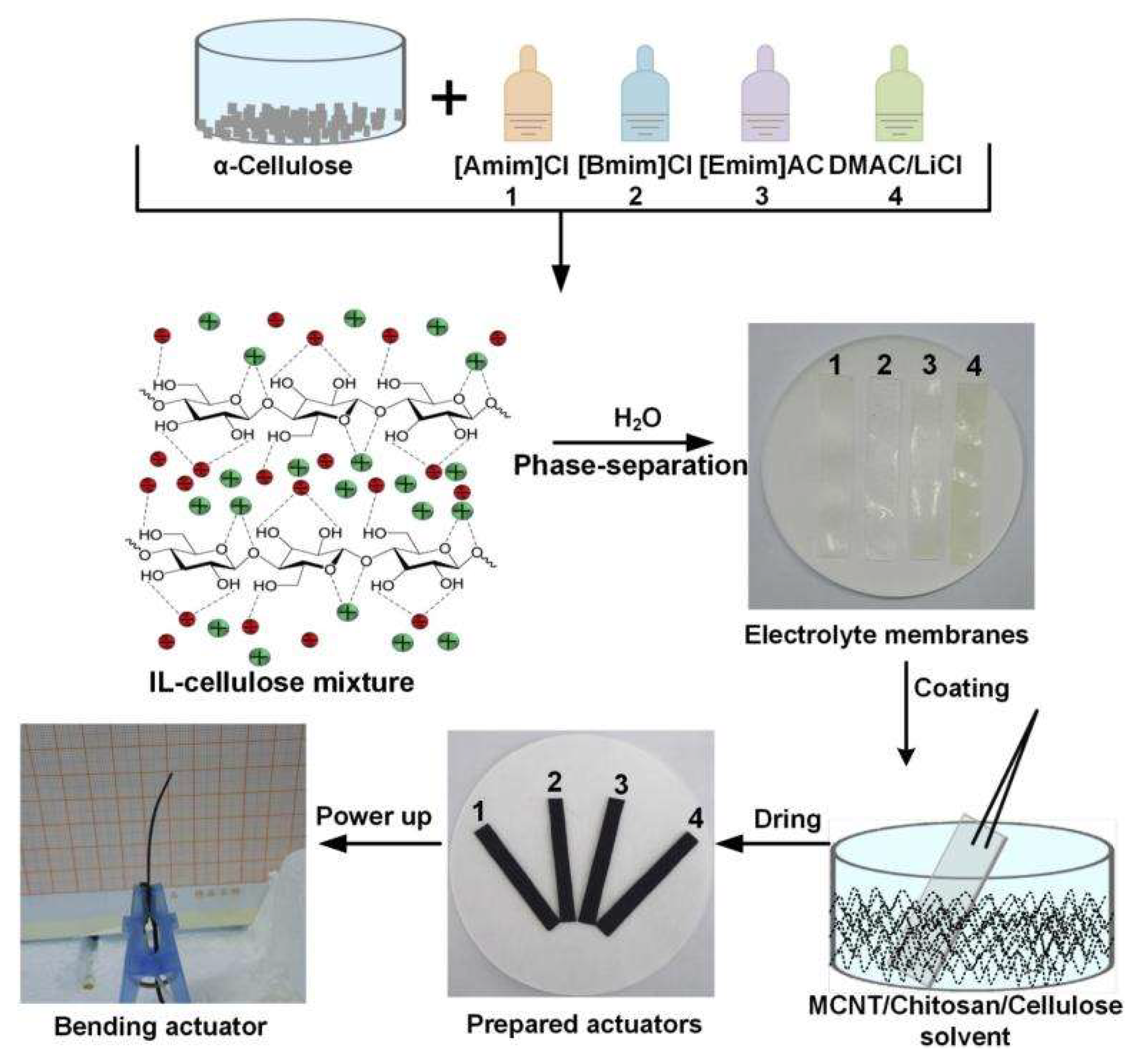 Ijms 23 03522 g009 Ijms 23 03522 g009