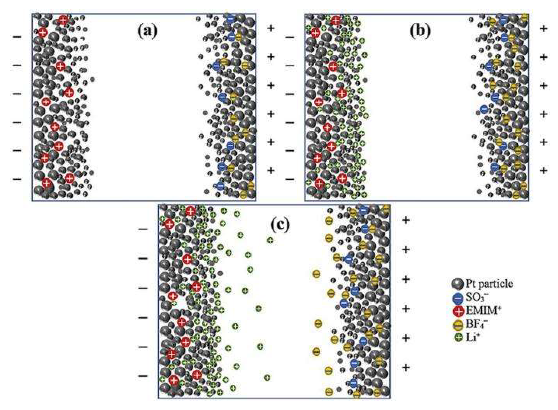 Ijms 23 03522 g010 Ijms 23 03522 g010