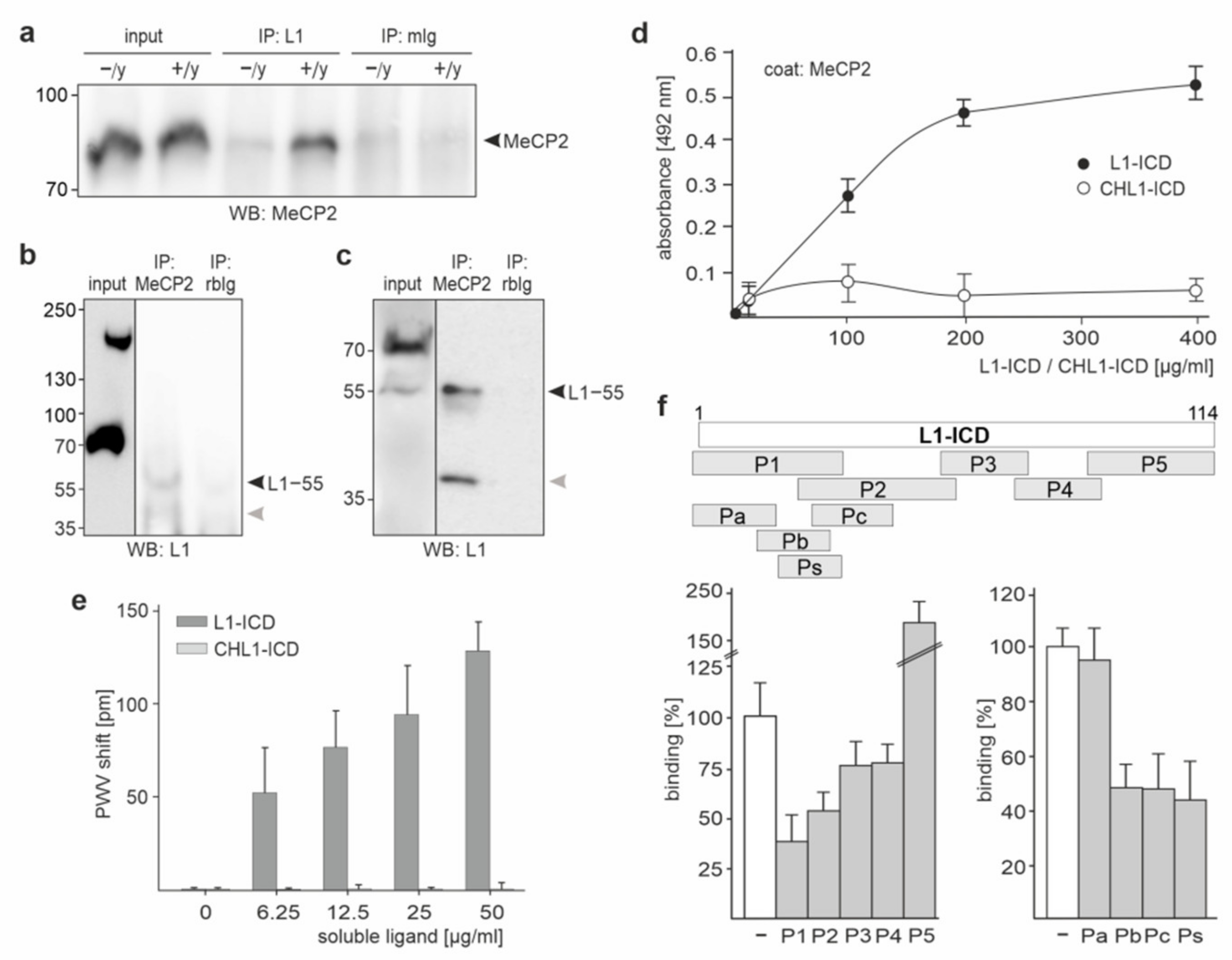Ijms 23 03554 g001 Ijms 23 03554 g001