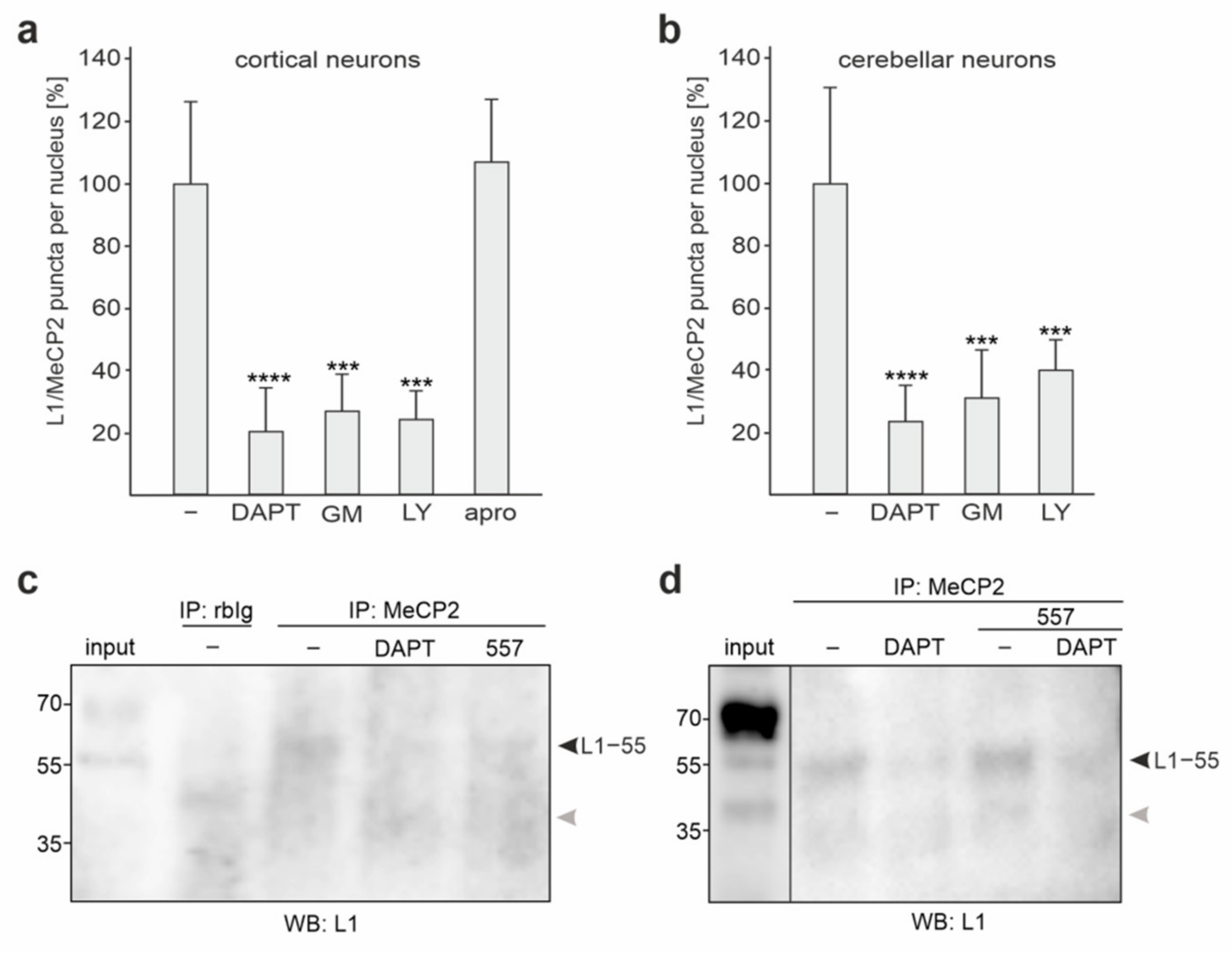 Ijms 23 03554 g003 Ijms 23 03554 g003