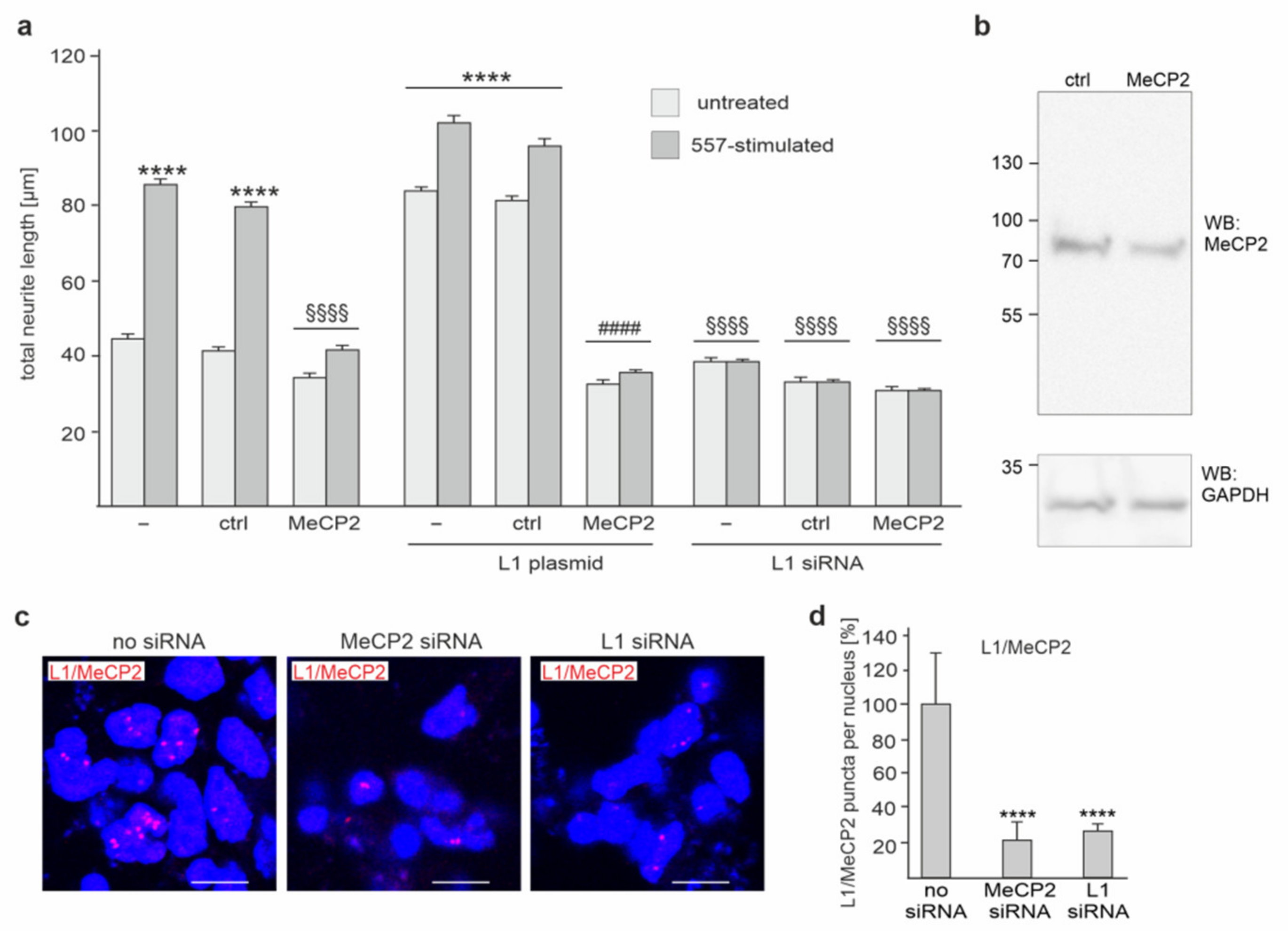 Ijms 23 03554 g005 Ijms 23 03554 g005