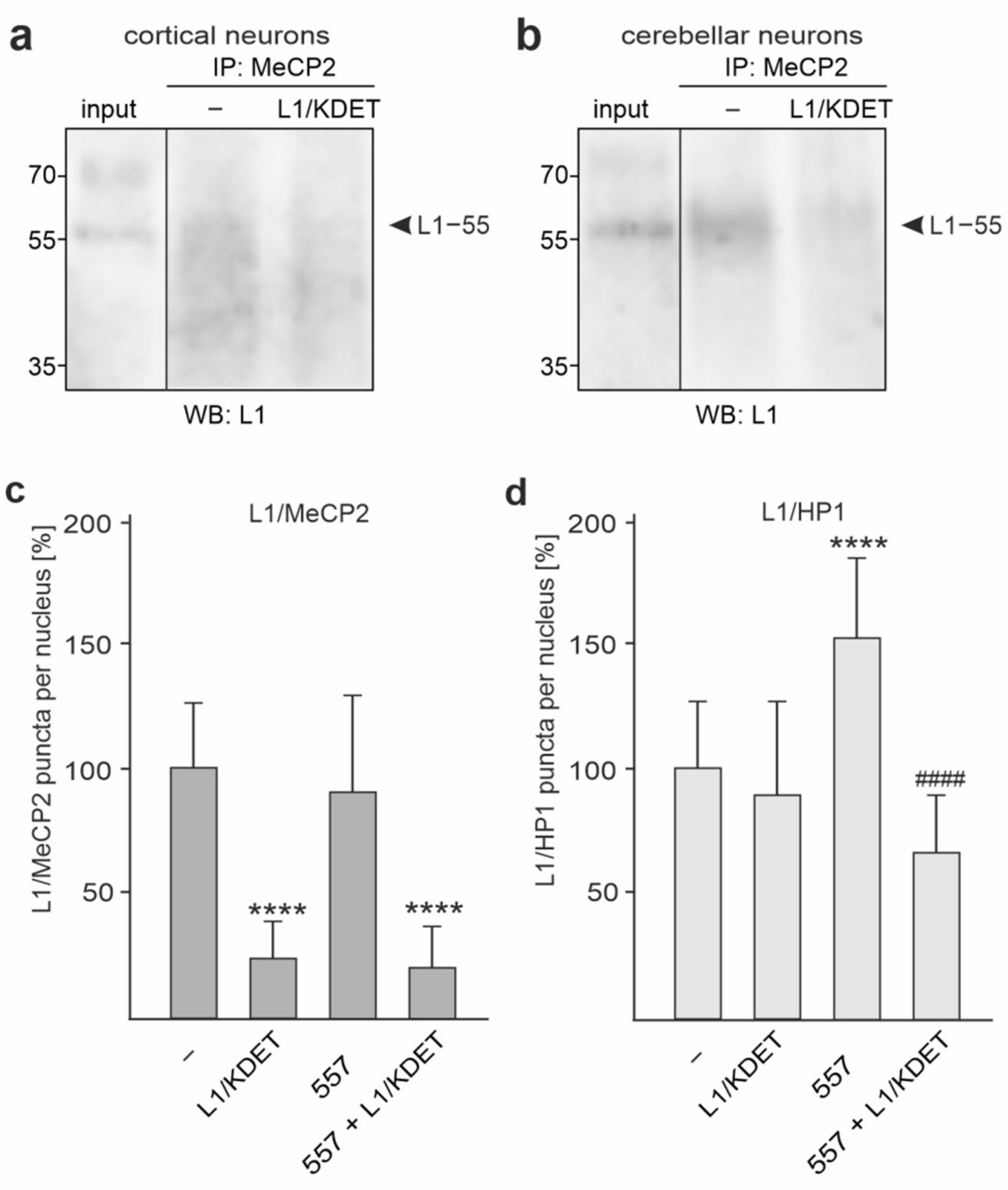 Ijms 23 03554 g007 Ijms 23 03554 g007