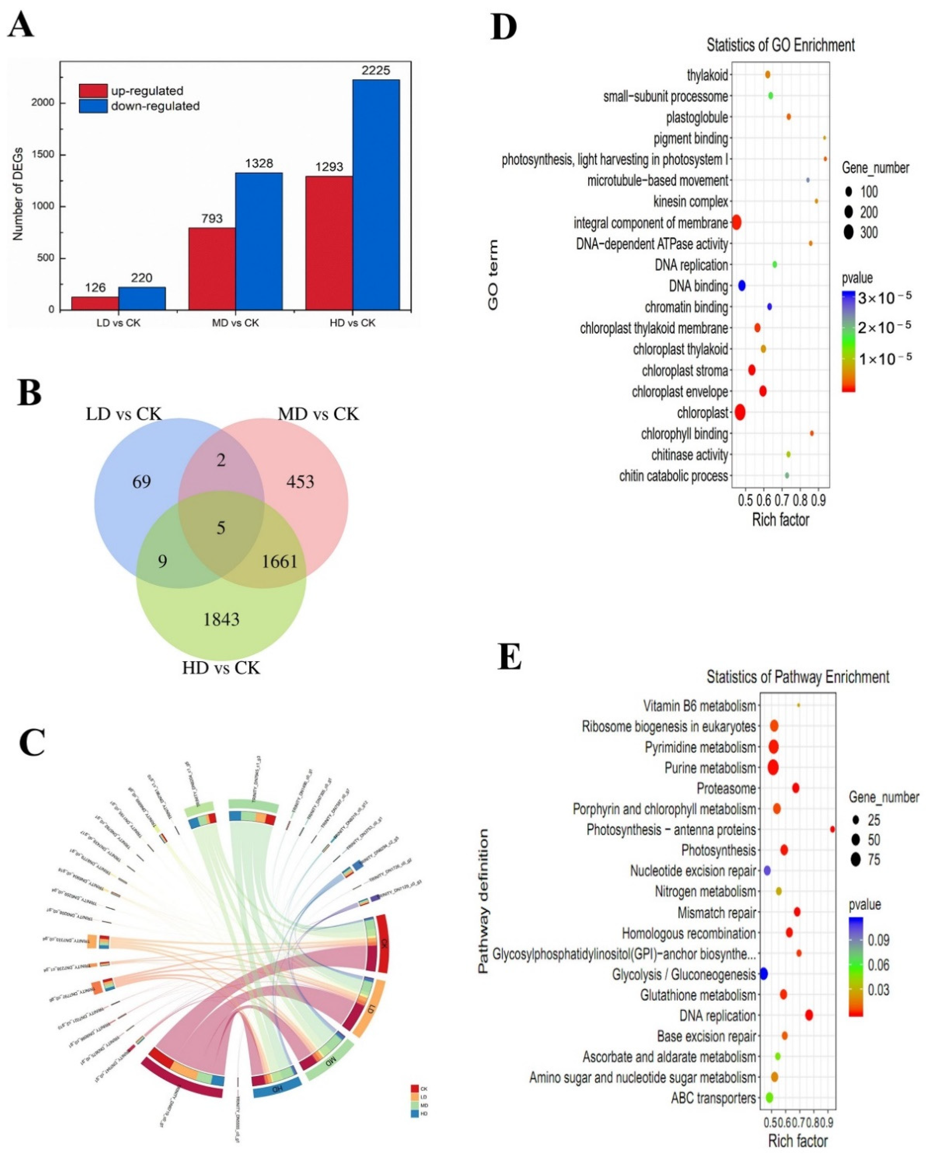 Ijms 23 03583 g006 Ijms 23 03583 g006