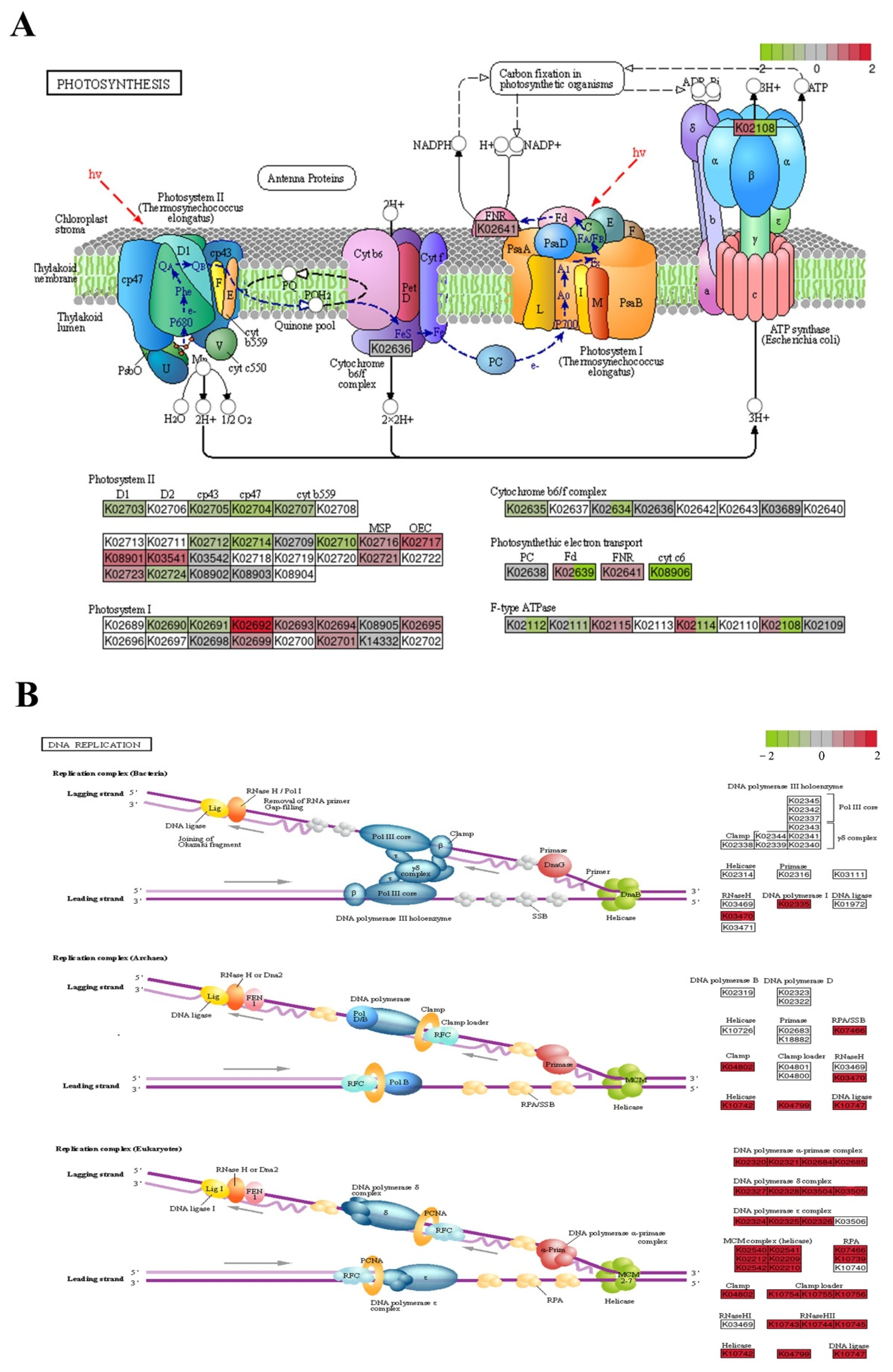 Ijms 23 03583 g007 Ijms 23 03583 g007