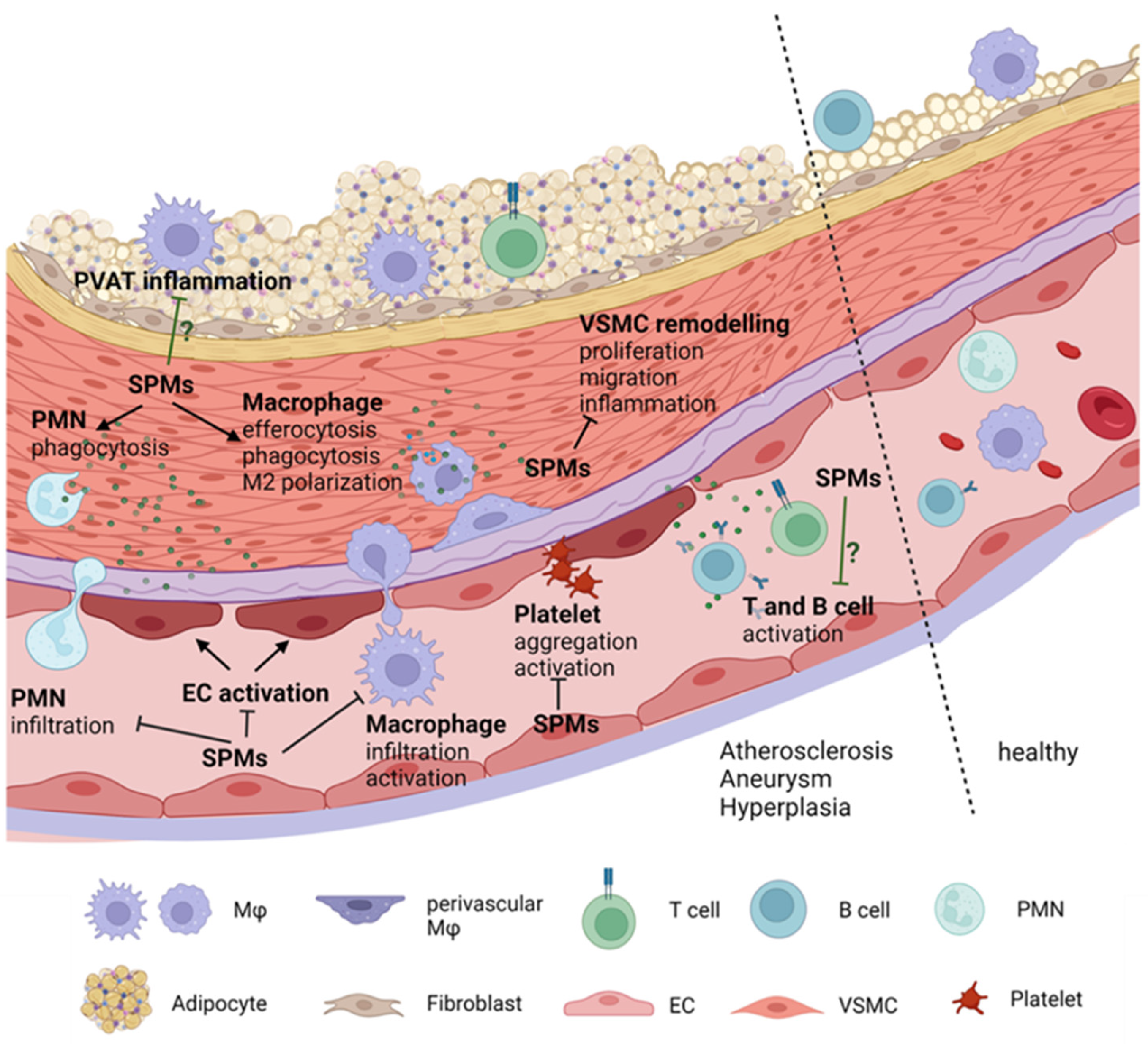 Ijms 23 03592 g006 Ijms 23 03592 g006