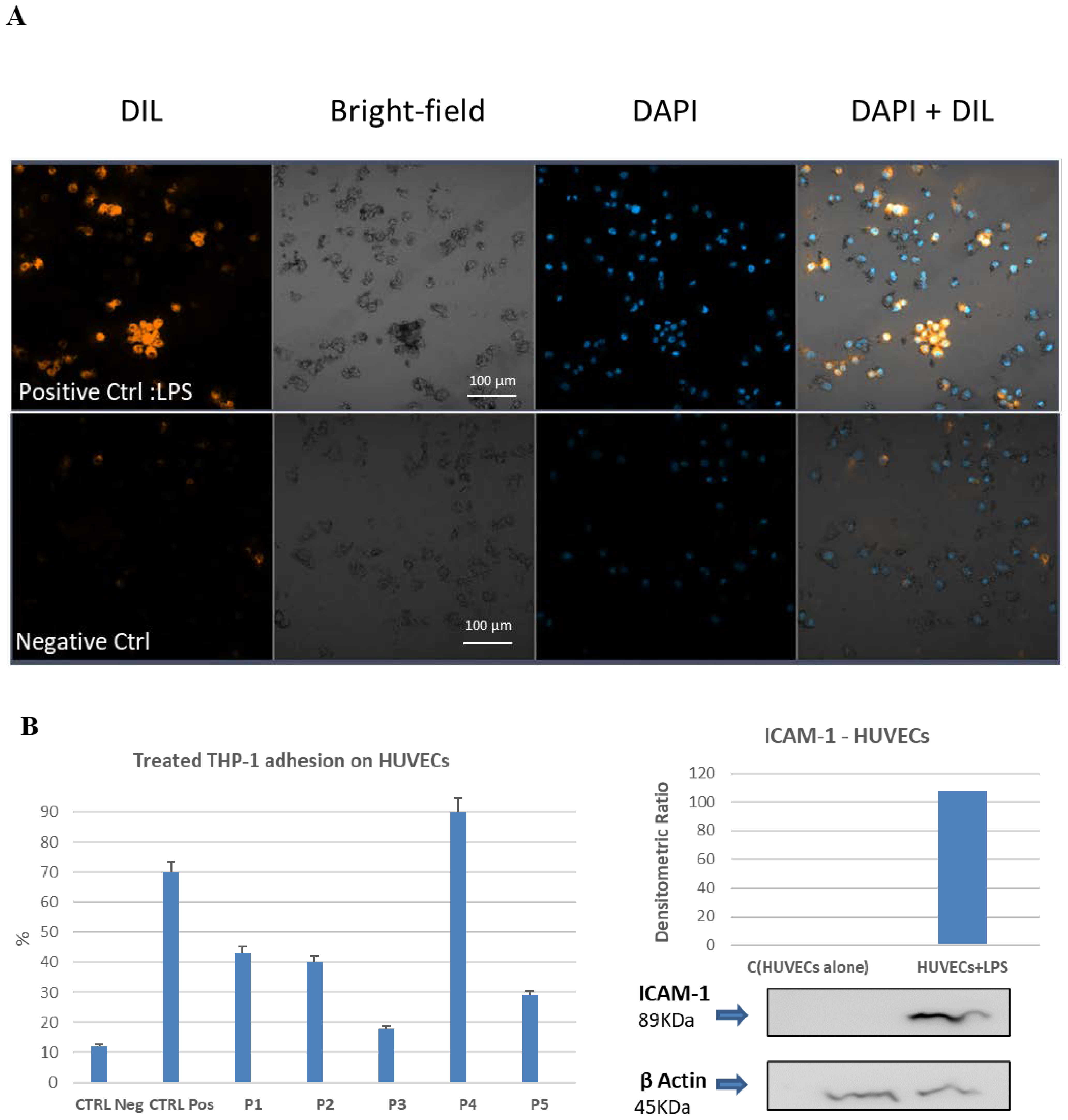 Ijms 23 03607 g007a