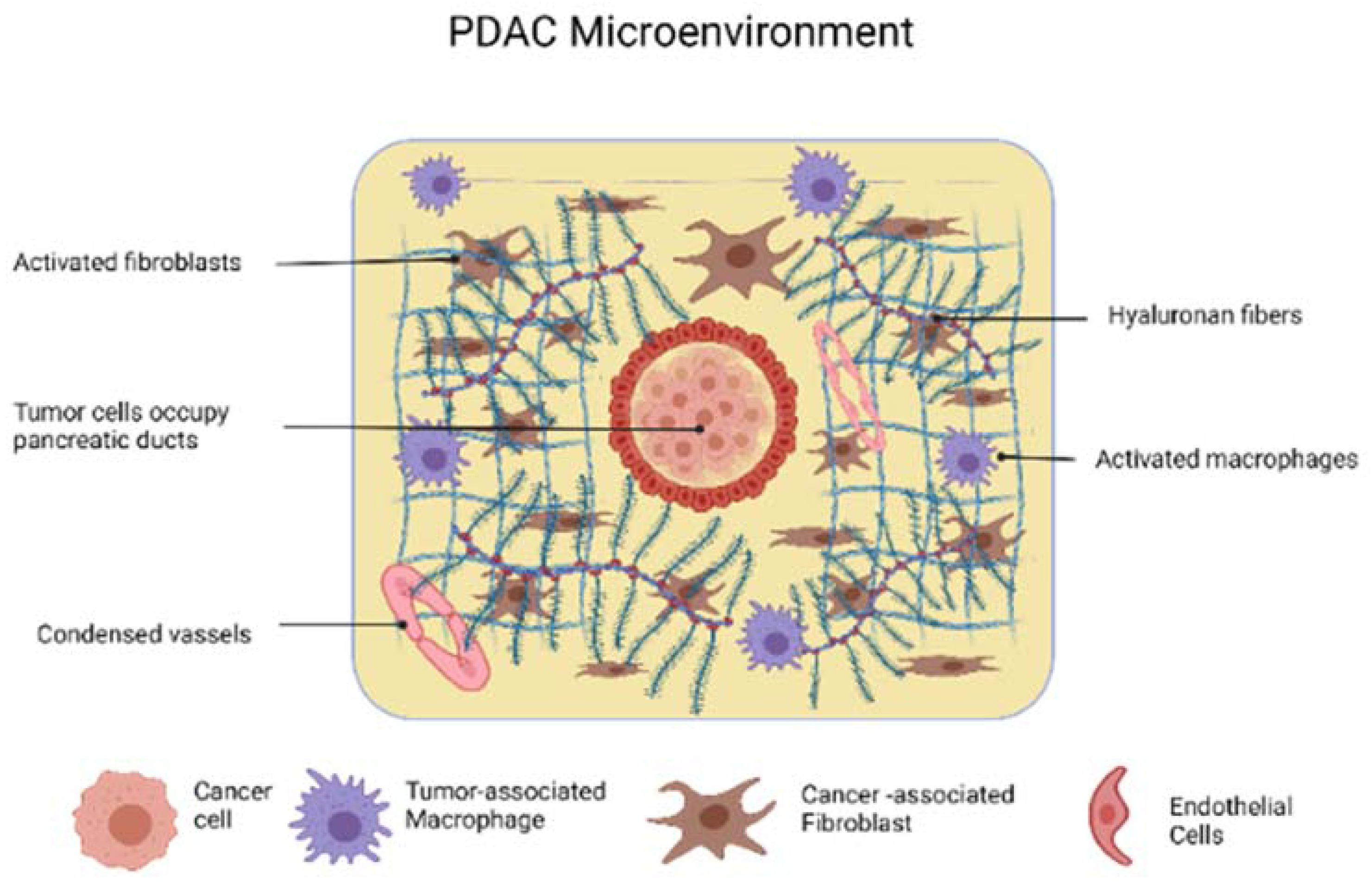 Ijms 23 03620 g002 Ijms 23 03620 g002