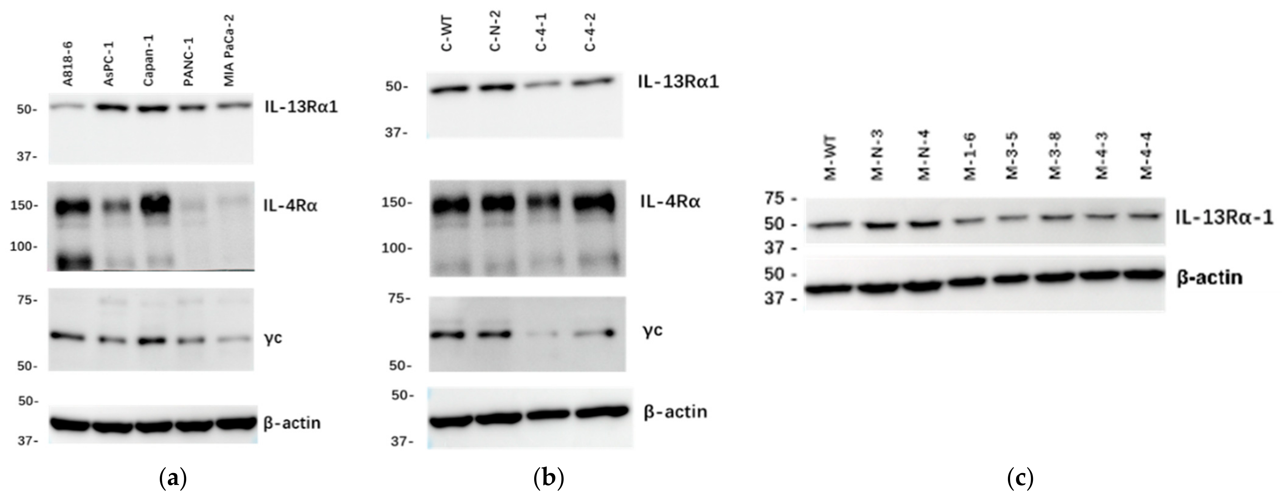 Ijms 23 03659 g001 Ijms 23 03659 g001