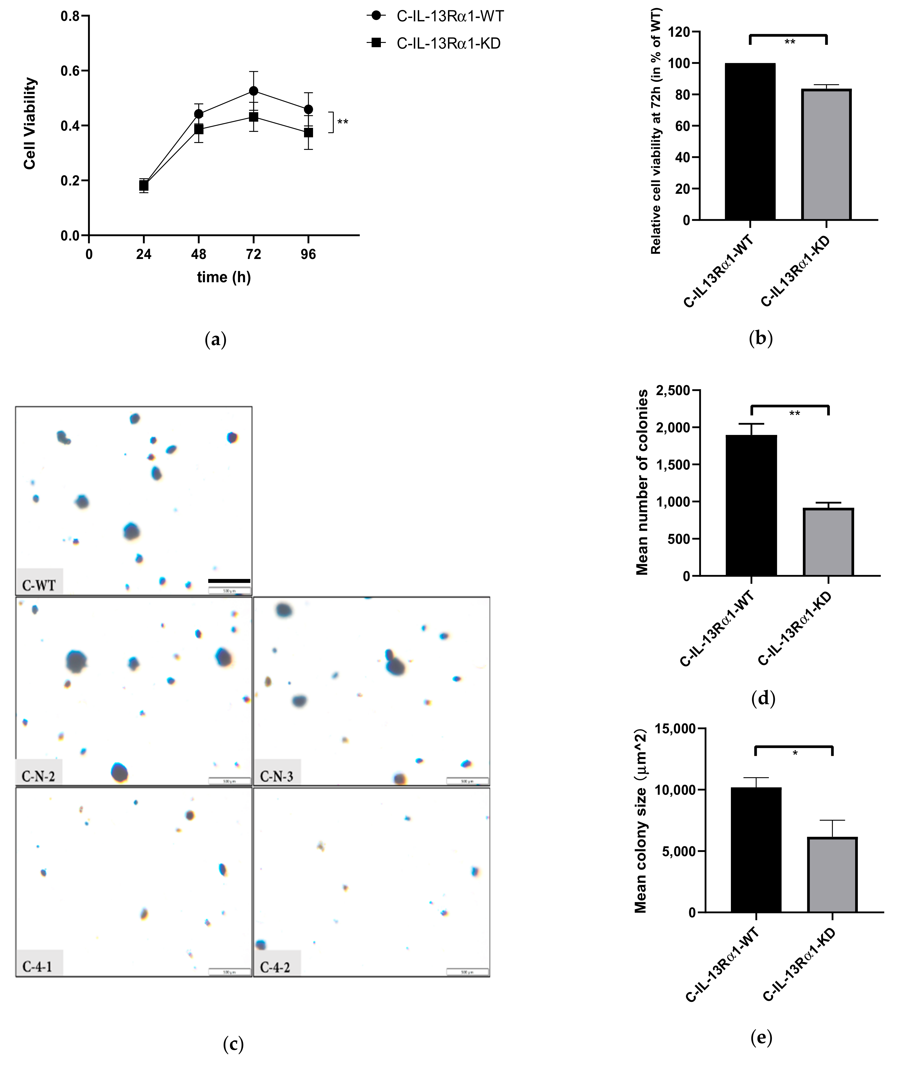 Ijms 23 03659 g002 Ijms 23 03659 g002