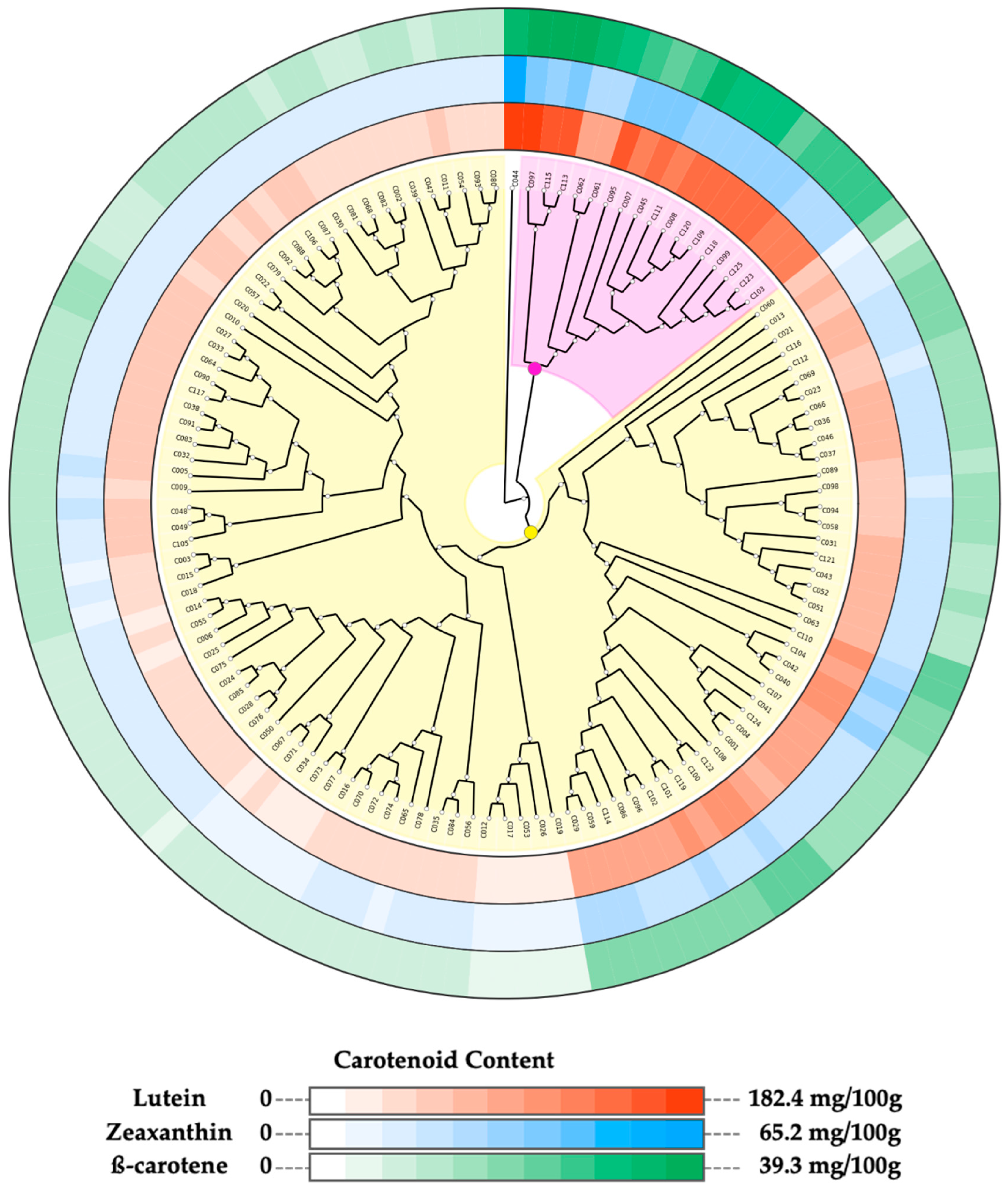 Ijms 23 03696 g002 Ijms 23 03696 g002