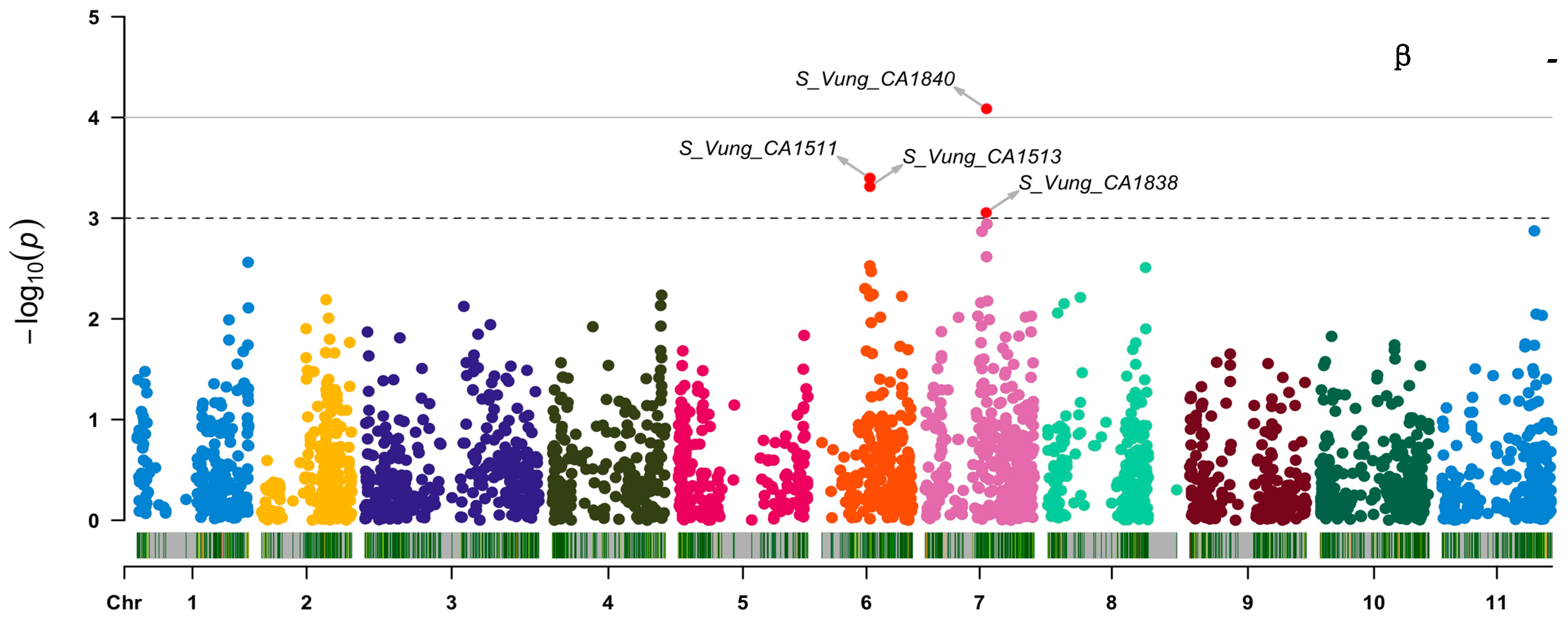 Ijms 23 03696 g006b Ijms 23 03696 g006b