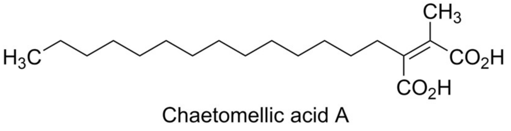 Ijms 23 03706 g005 Ijms 23 03706 g005