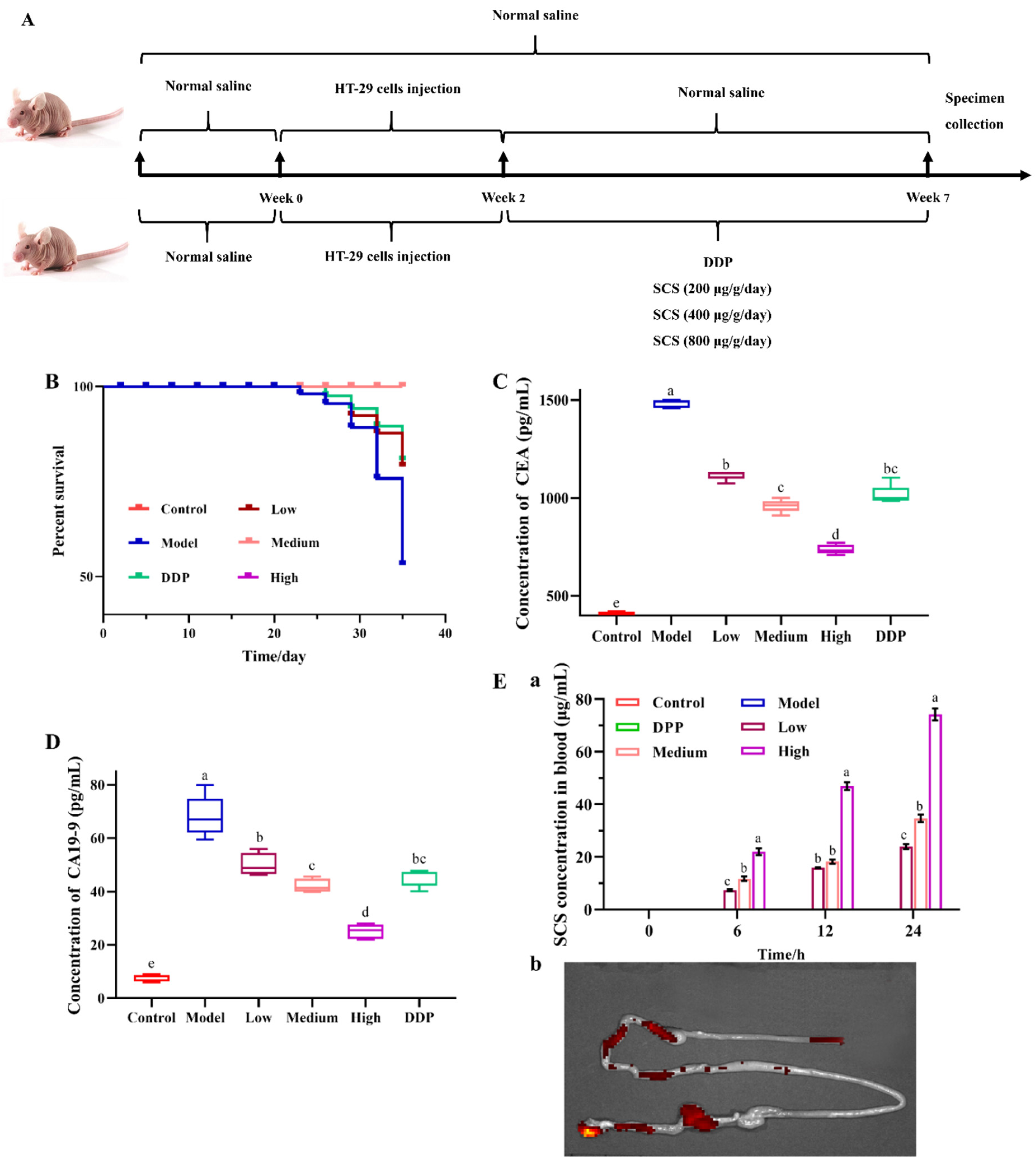 Ijms 23 03723 g001 Ijms 23 03723 g001