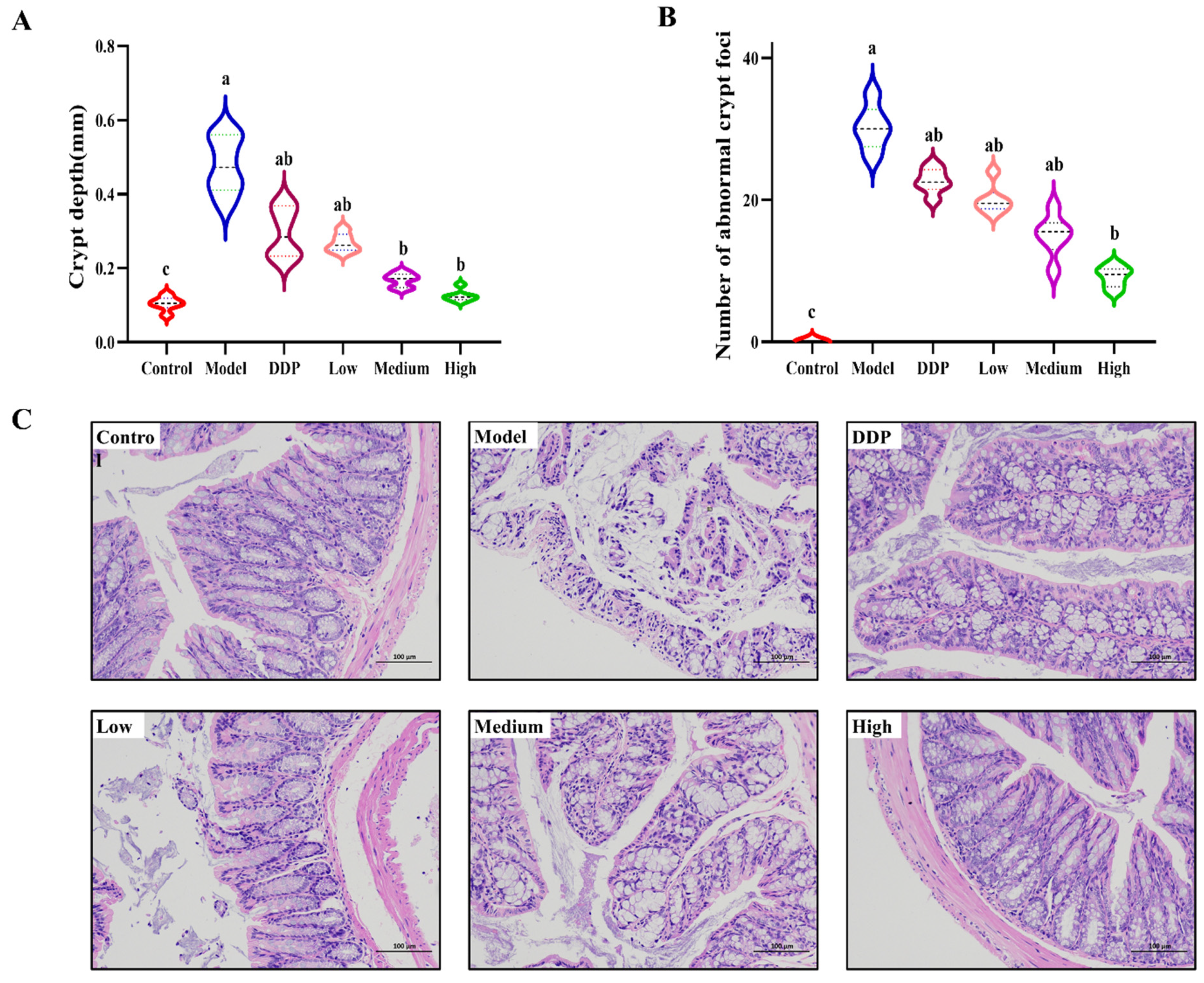 Ijms 23 03723 g002 Ijms 23 03723 g002