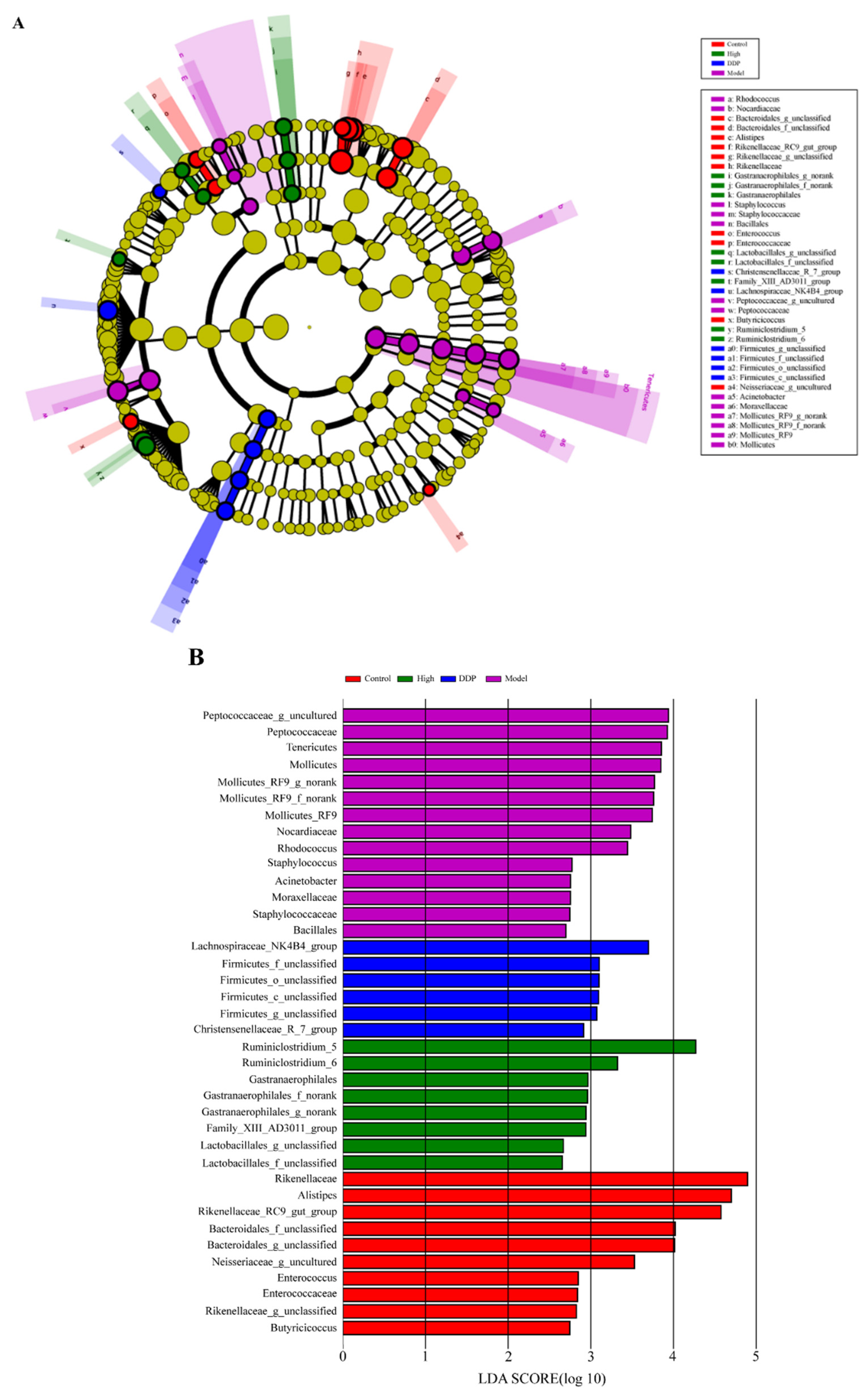 Ijms 23 03723 g004a Ijms 23 03723 g004a